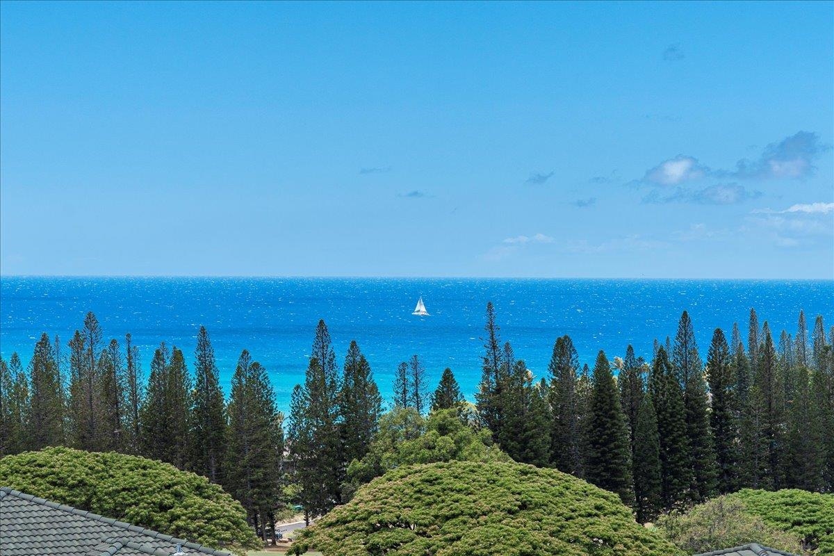 Kapalua Golf Villas condo # 24T1, Lahaina, Hawaii - photo 50 of 50