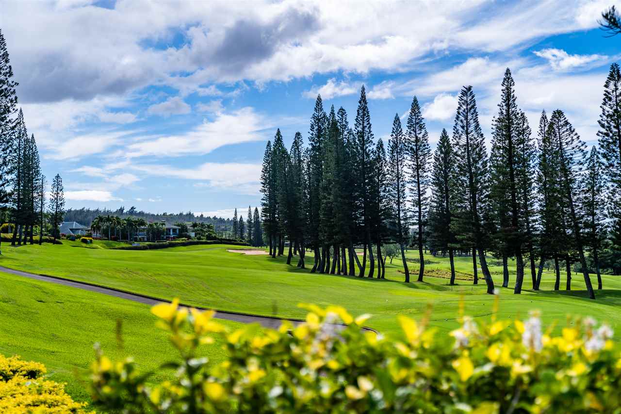 Kapalua Golf Villas condo # 24T2, Lahaina, Hawaii - photo 23 of 30