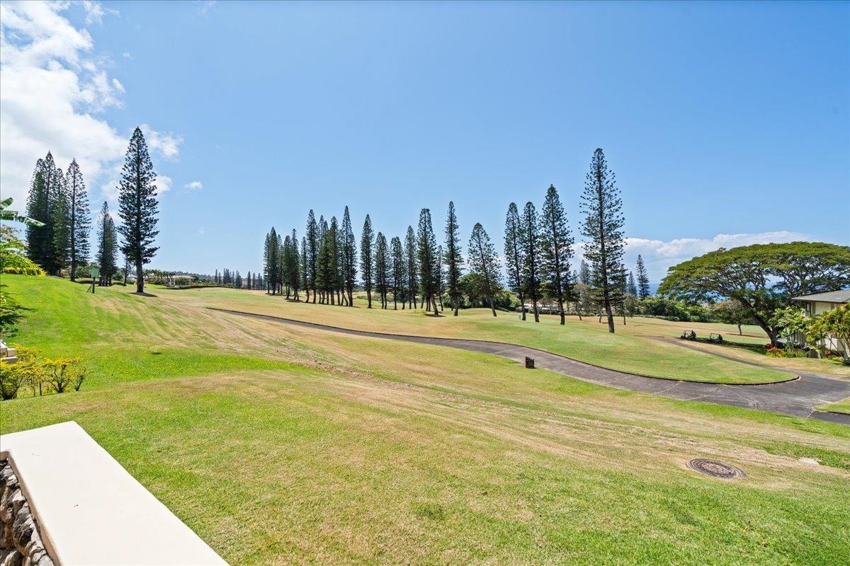 Kapalua Golf Villas condo # 25 P 3-4, Lahaina, Hawaii - photo 35 of 50