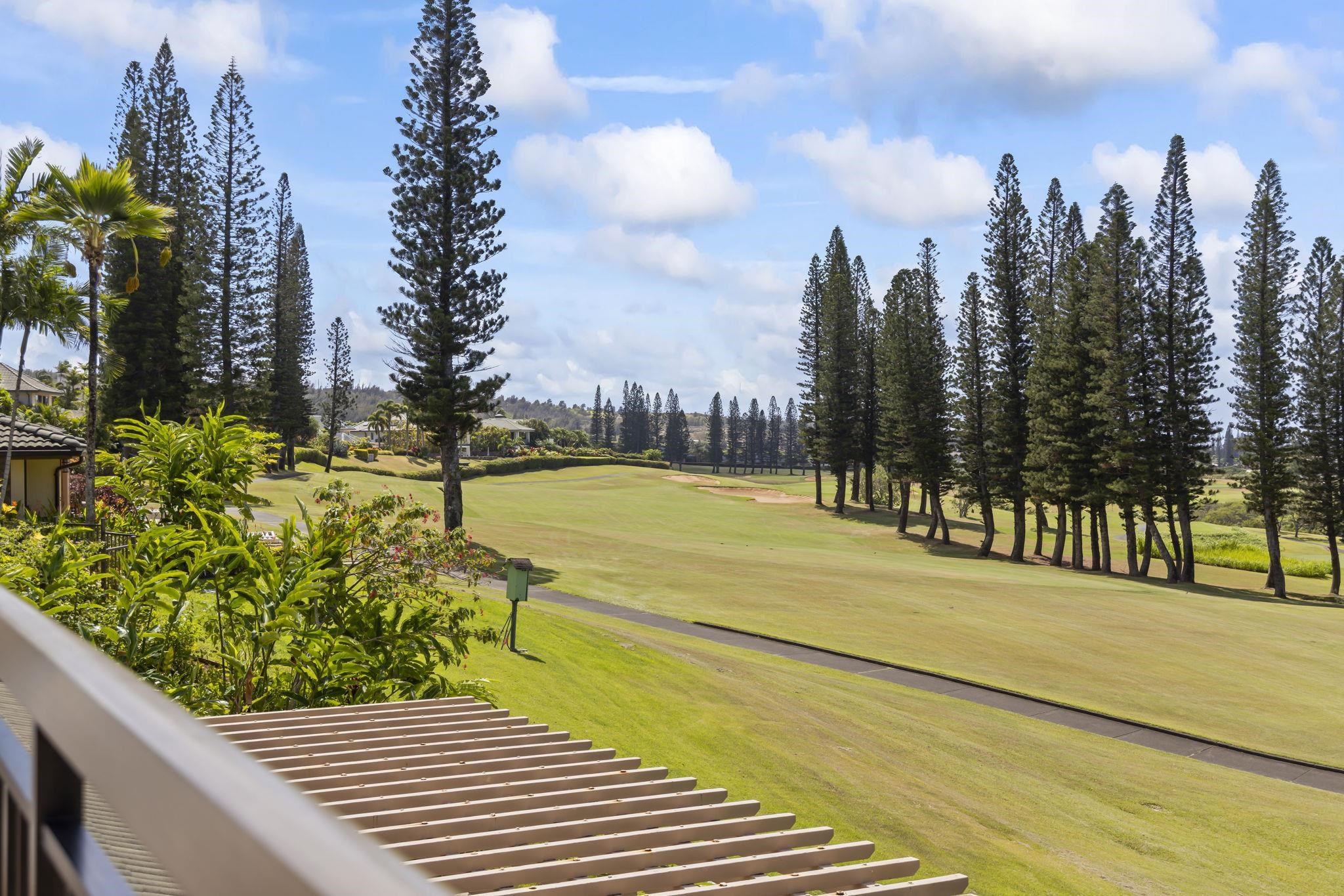 Kapalua Golf Villas condo # 25T3, Lahaina, Hawaii - photo 21 of 48