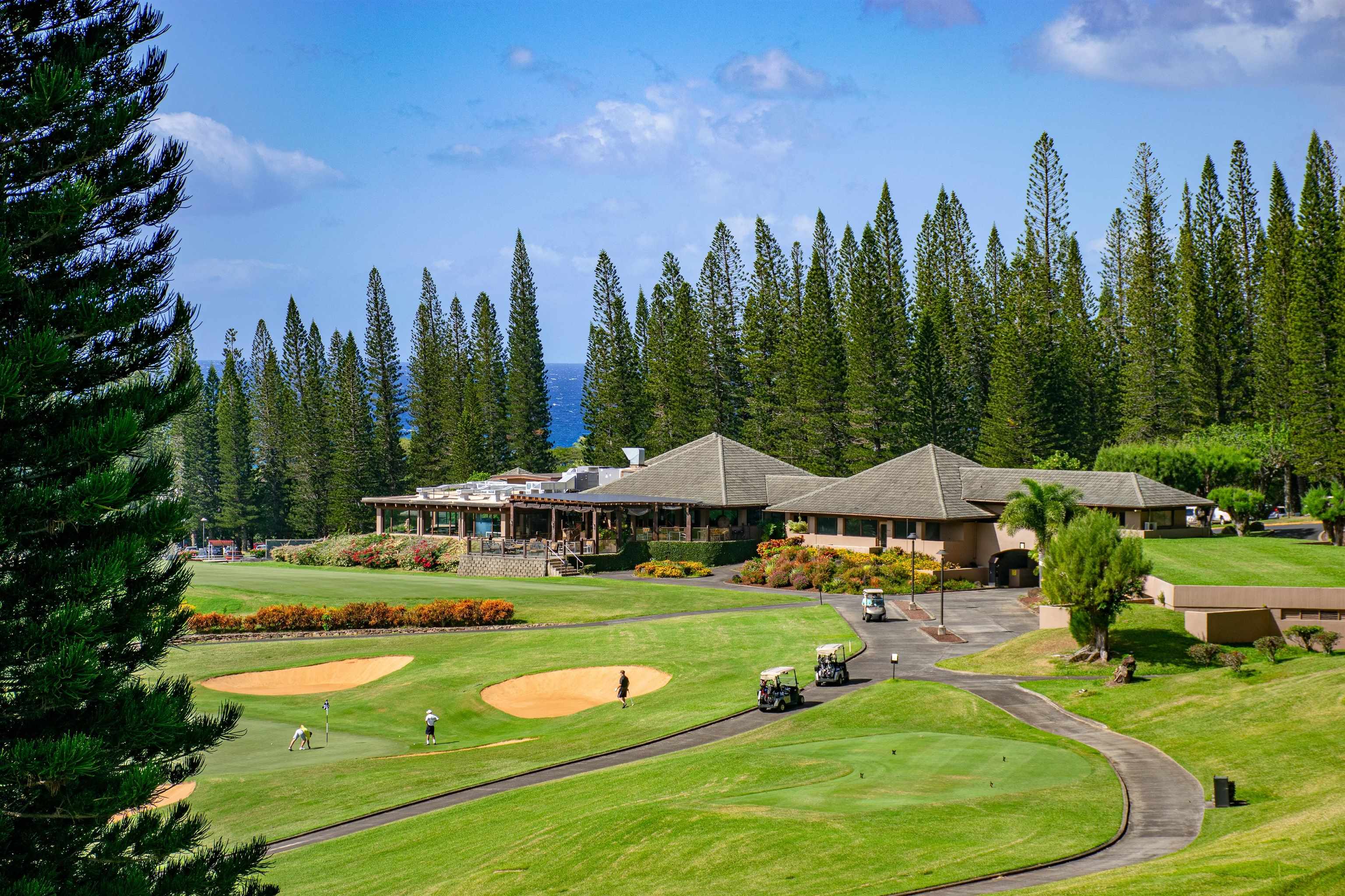 Kapalua Golf Villas condo # 25T6-7, Lahaina, Hawaii - photo 42 of 50