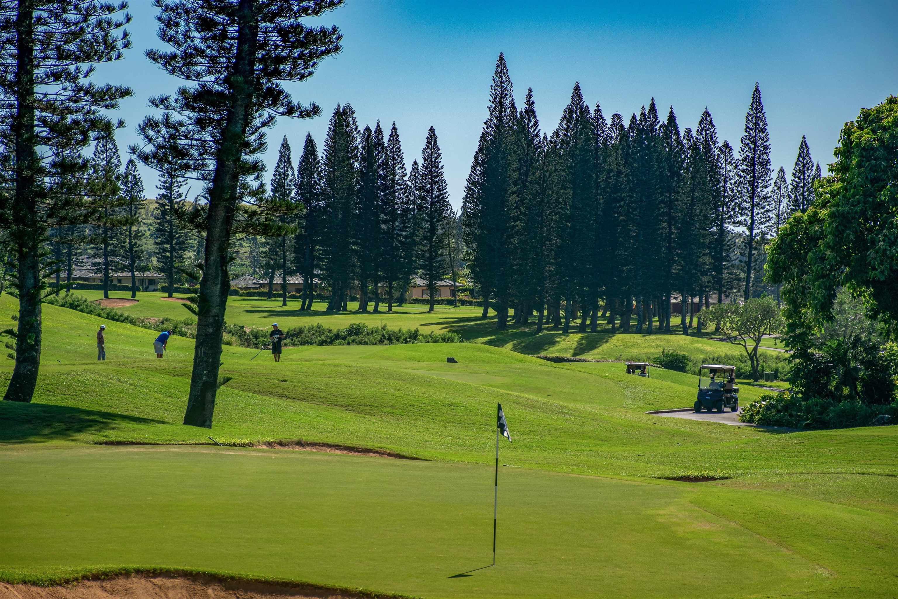 Kapalua Golf Villas condo # 25T6-7, Lahaina, Hawaii - photo 48 of 50