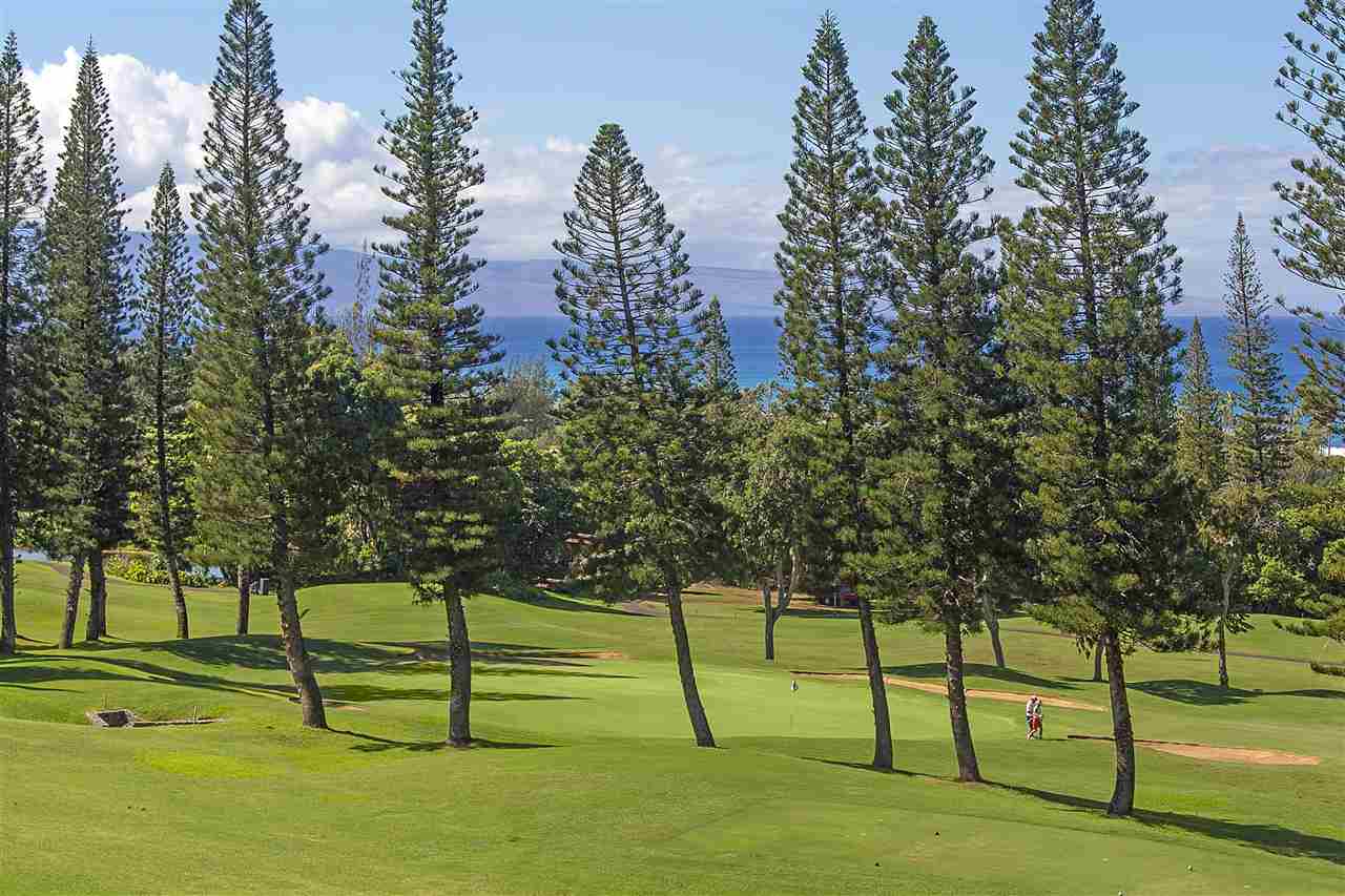 Kapalua Golf Villas condo # 25V1, Lahaina, Hawaii - photo 18 of 21