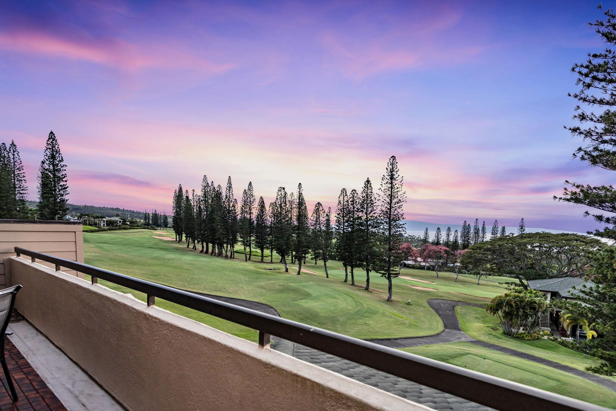 Kapalua Golf Villas condo # 25V 3-4, Lahaina, Hawaii - photo 24 of 36