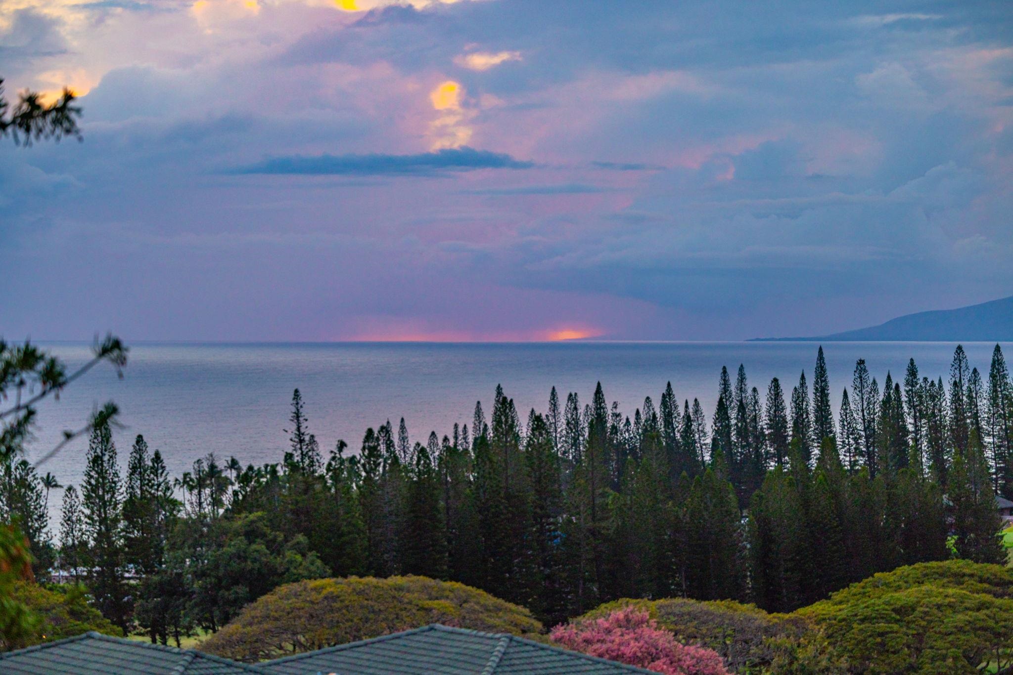 Kapalua Golf Villas condo # 25V 3-4, Lahaina, Hawaii - photo 29 of 36