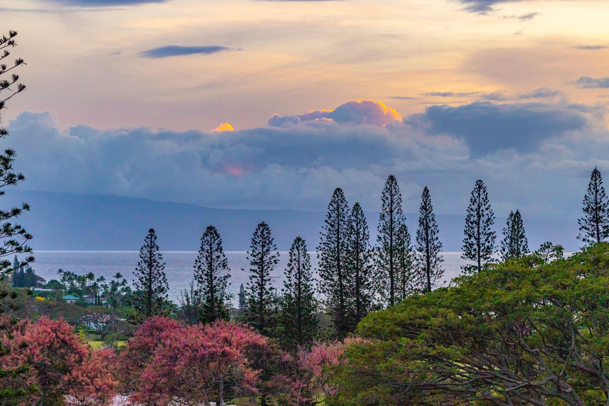 Kapalua Golf Villas condo # 25V 3-4, Lahaina, Hawaii - photo 31 of 36