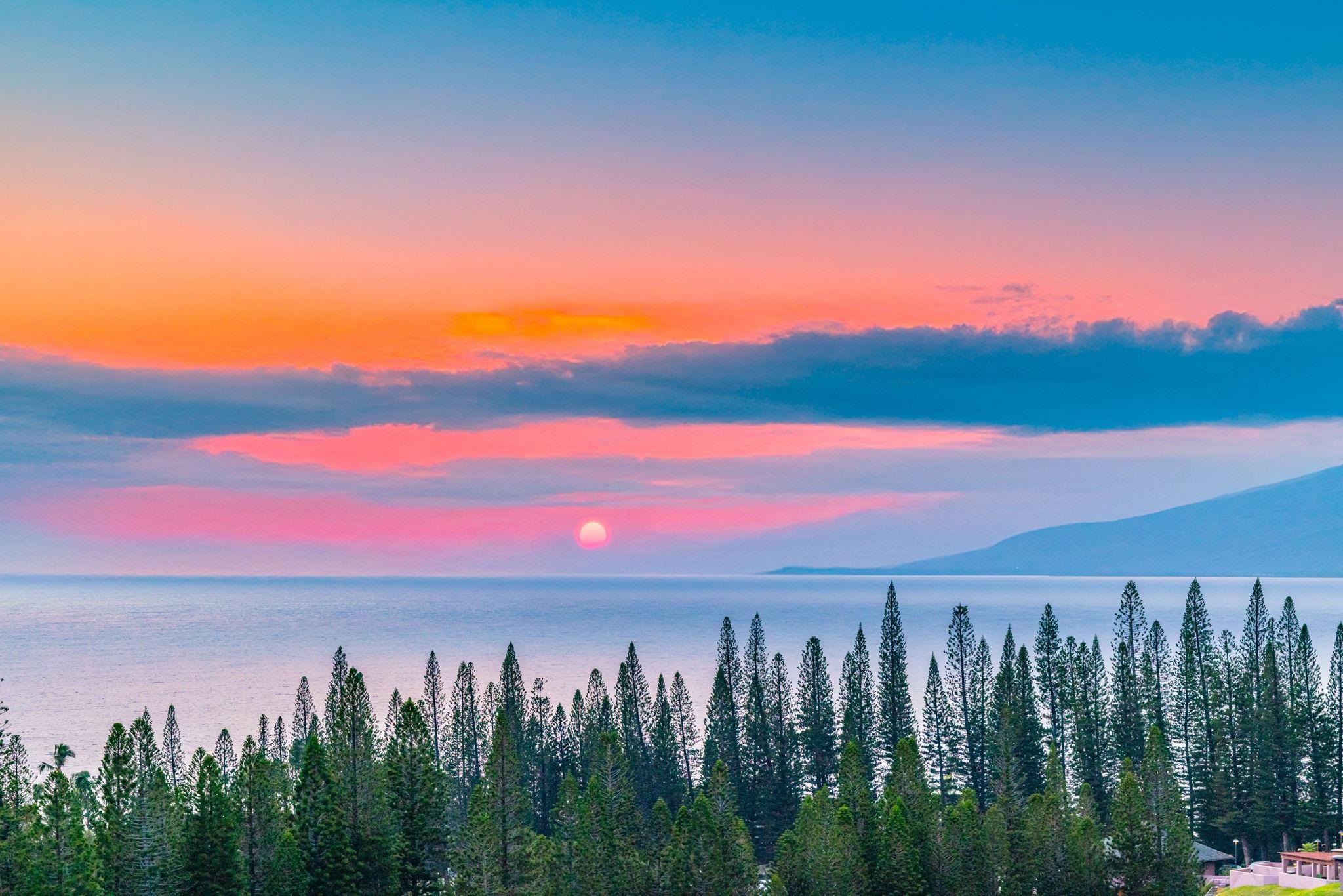 Kapalua Golf Villas condo # 25V 3-4, Lahaina, Hawaii - photo 7 of 36