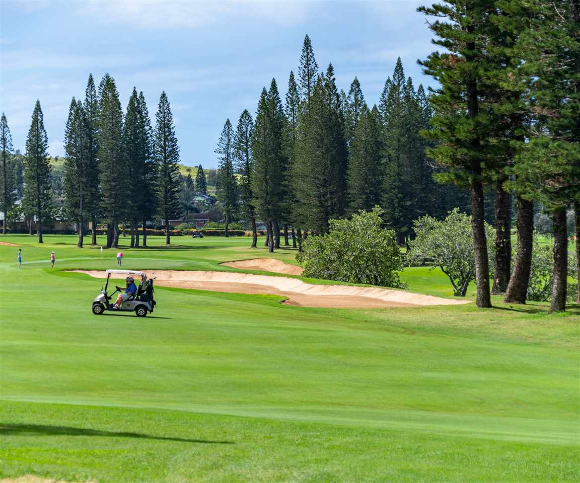 Kapalua Golf Villas condo # 26P3,4, Lahaina, Hawaii - photo 27 of 30