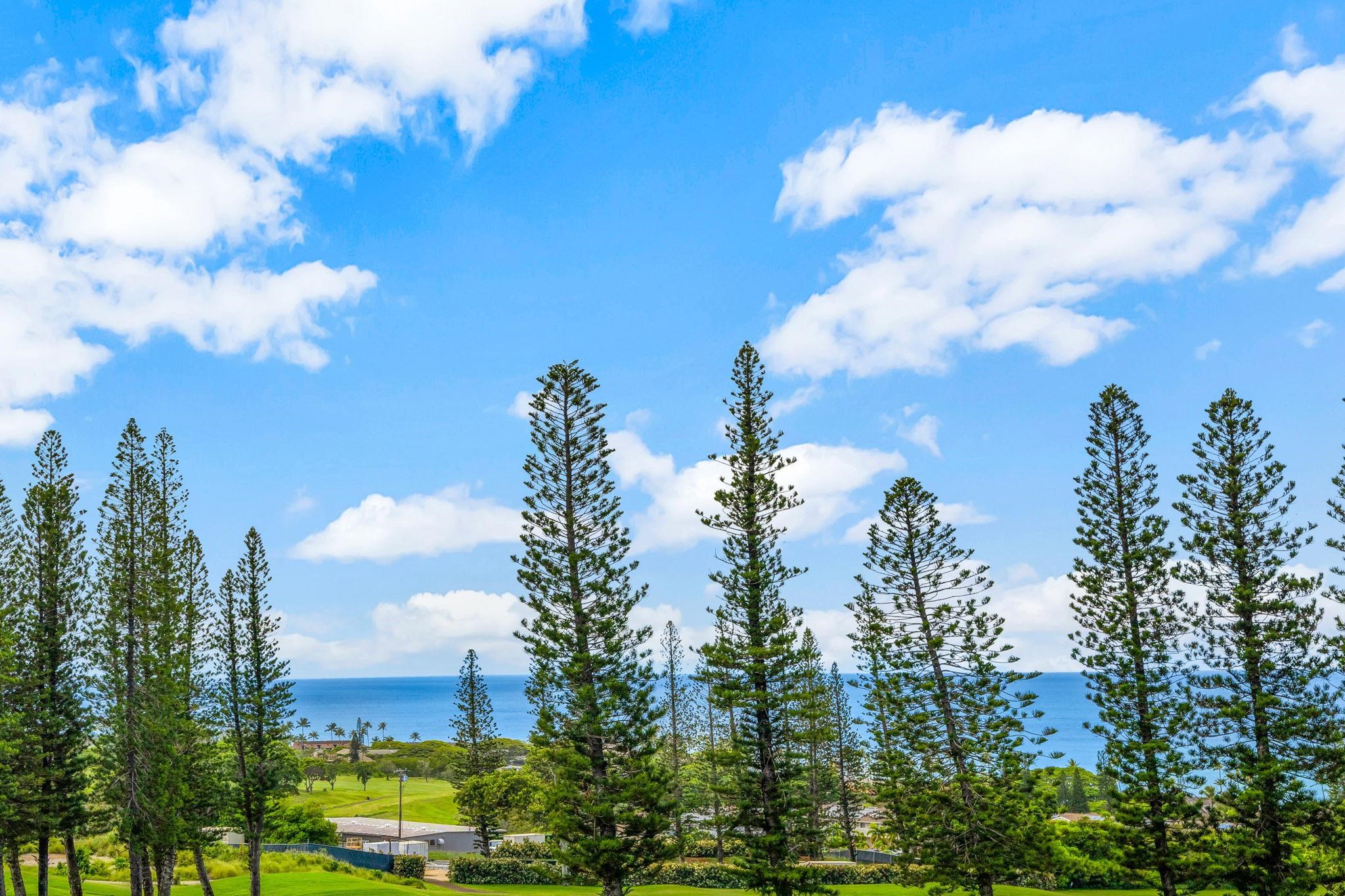 Kapalua Golf Villas condo # 26T 5-6, Lahaina, Hawaii - photo 2 of 24