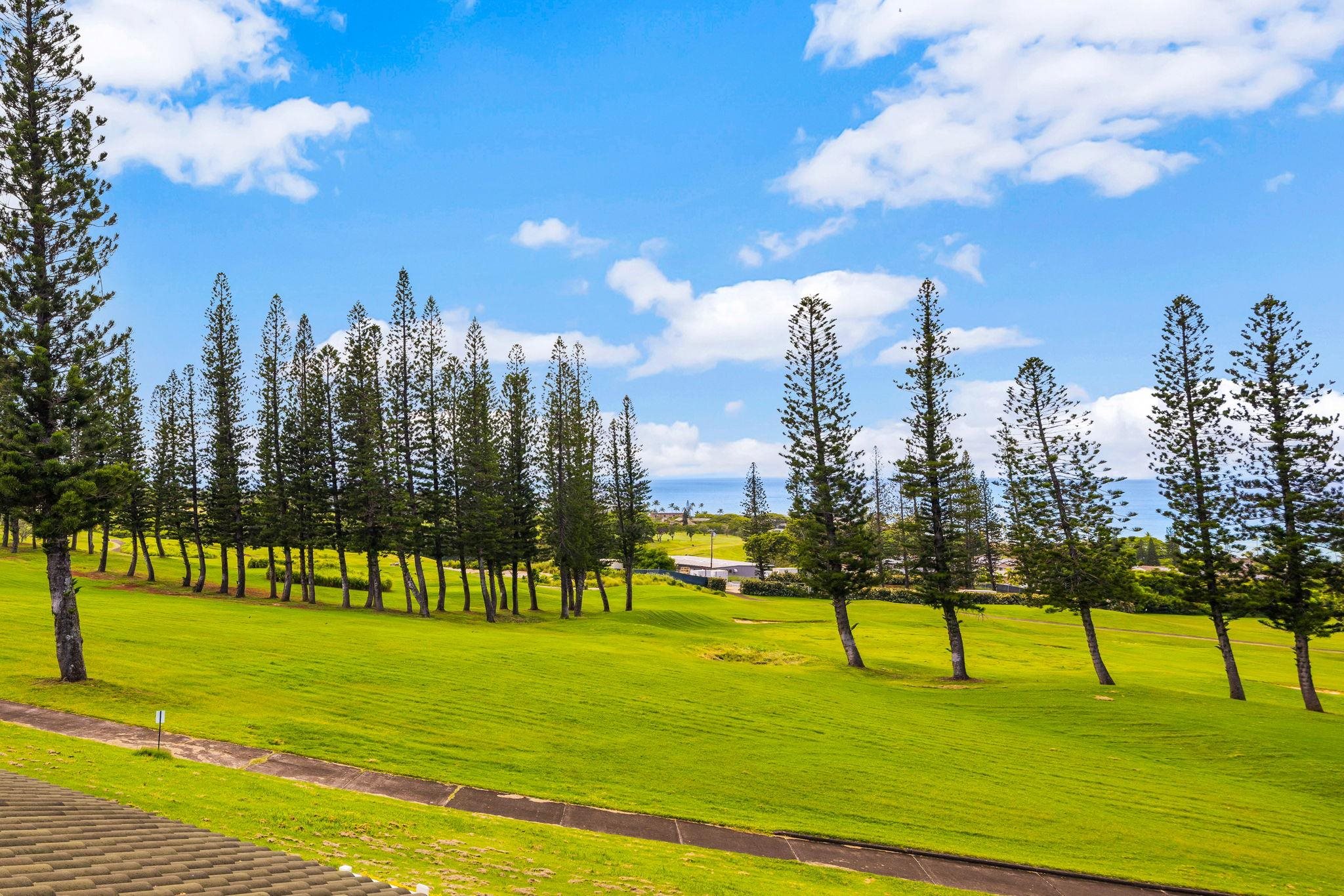 Kapalua Golf Villas condo # 26T 5-6, Lahaina, Hawaii - photo 3 of 24