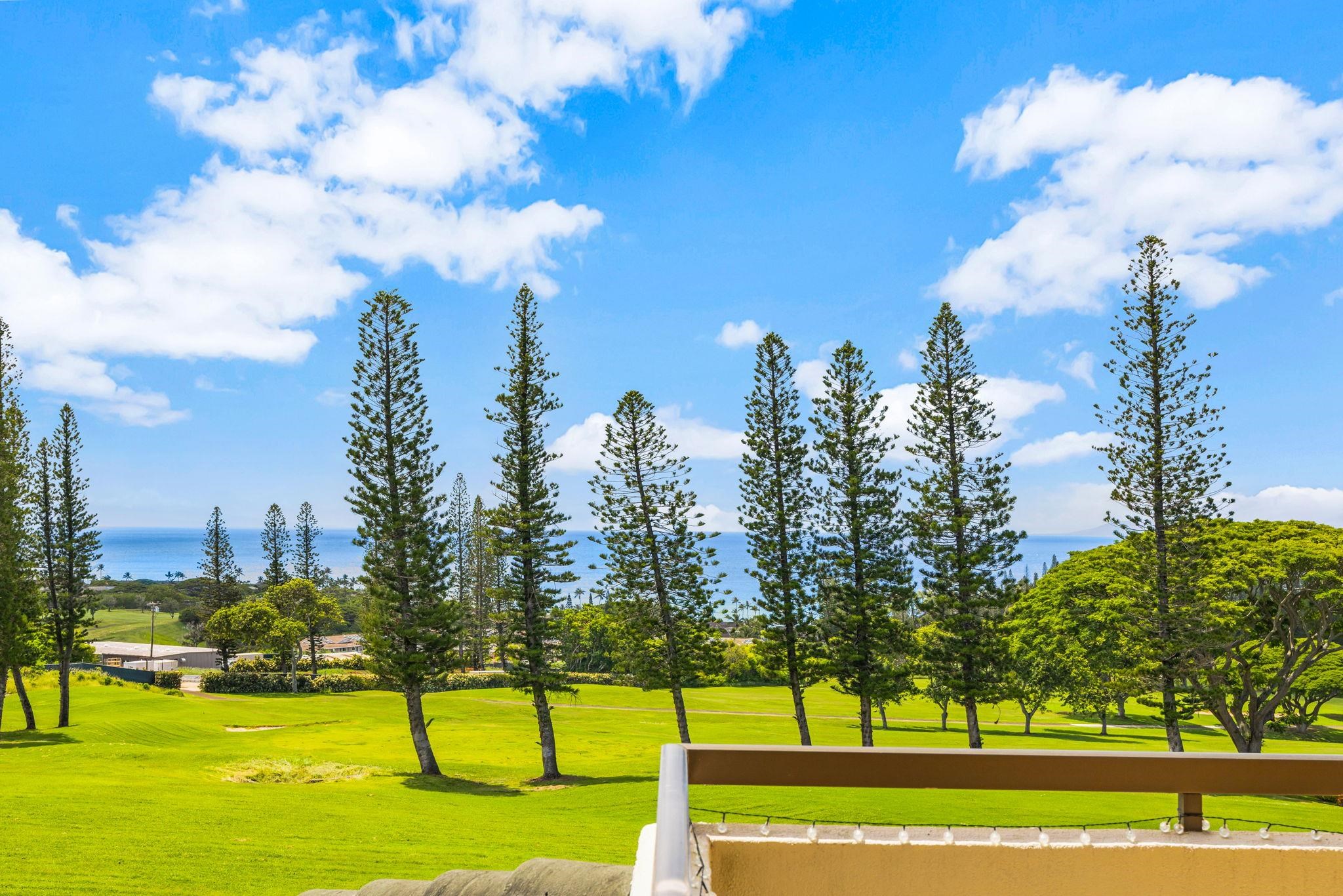 Kapalua Golf Villas condo # 26T 5-6, Lahaina, Hawaii - photo 4 of 24