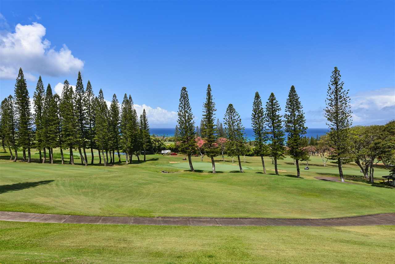 Kapalua Golf Villas condo # 26T7, Lahaina, Hawaii - photo 22 of 30