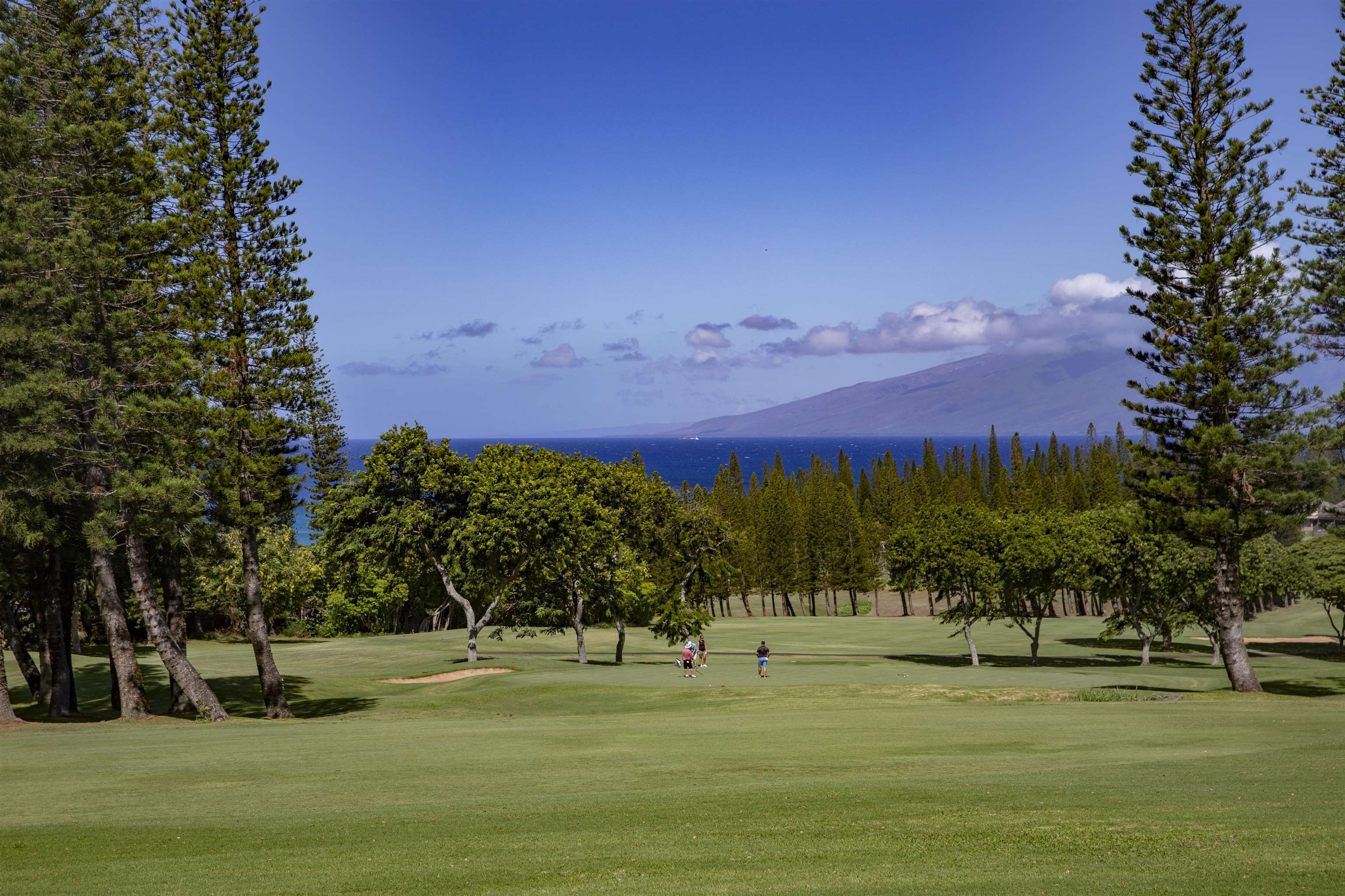 Kapalua Golf Villas condo # 27P7-8, Lahaina, Hawaii - photo 16 of 37