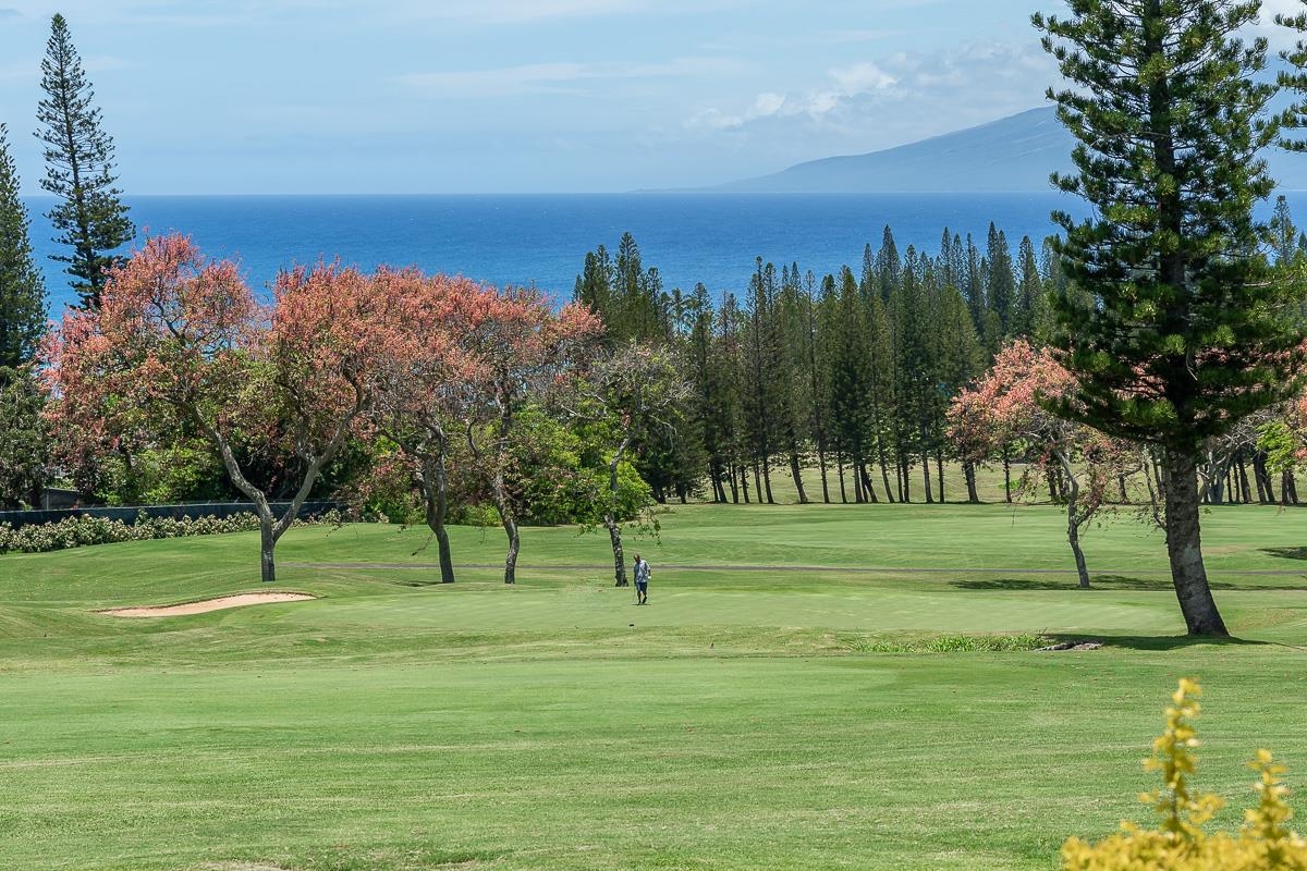 Kapalua Golf Villas condo # 27P7-8, Lahaina, Hawaii - photo 6 of 48