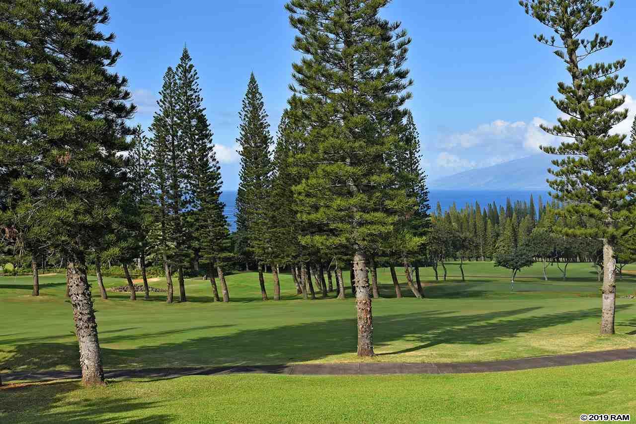 Kapalua Golf Villas condo # 27T1-2, Lahaina, Hawaii - photo 24 of 24