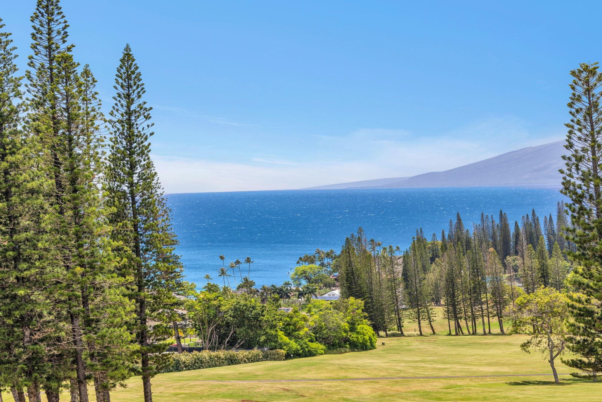 Kapalua Golf Villas condo # 27V-3, Lahaina, Hawaii - photo 12 of 50