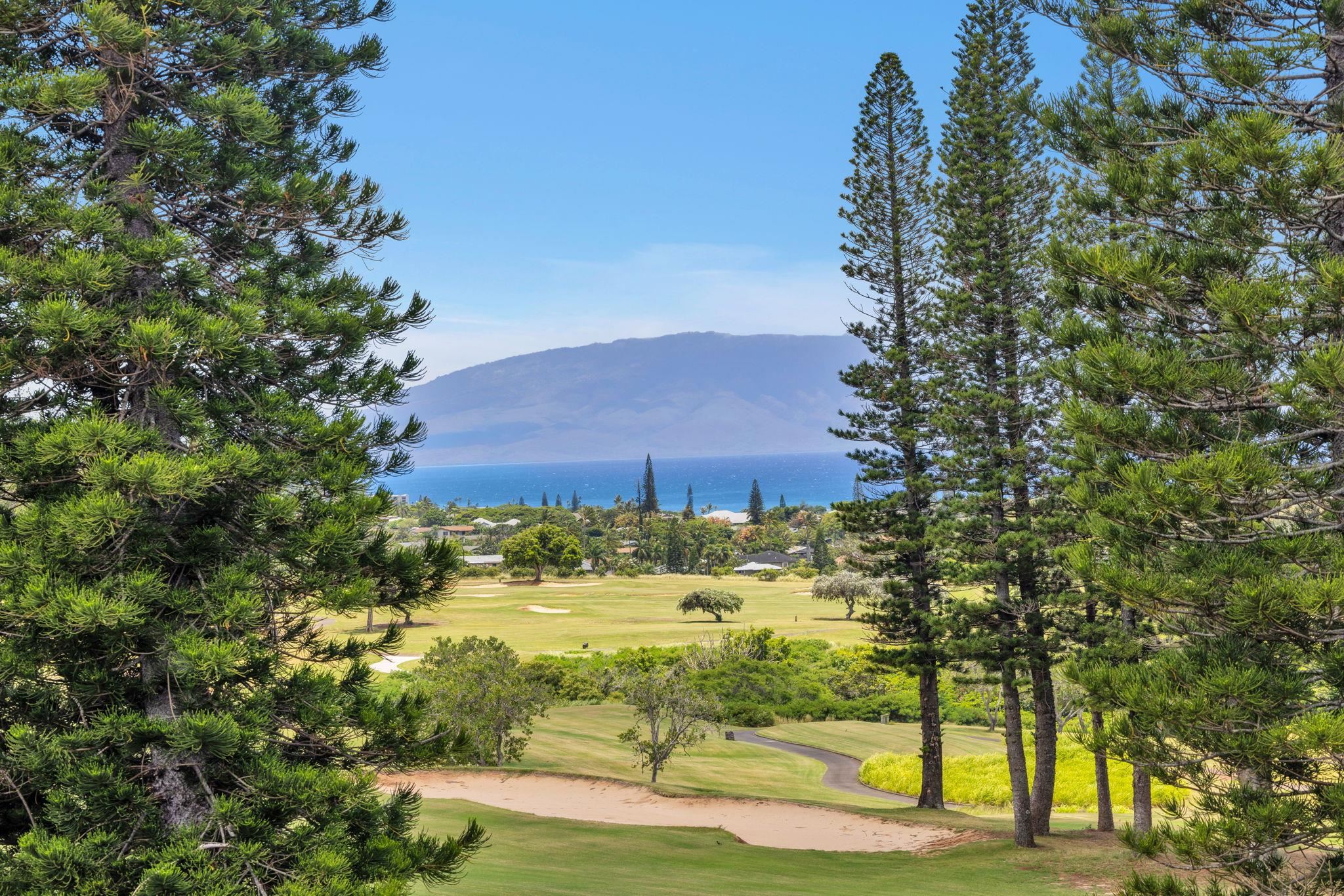Kapalua Golf Villas condo # 27V-3, Lahaina, Hawaii - photo 9 of 50