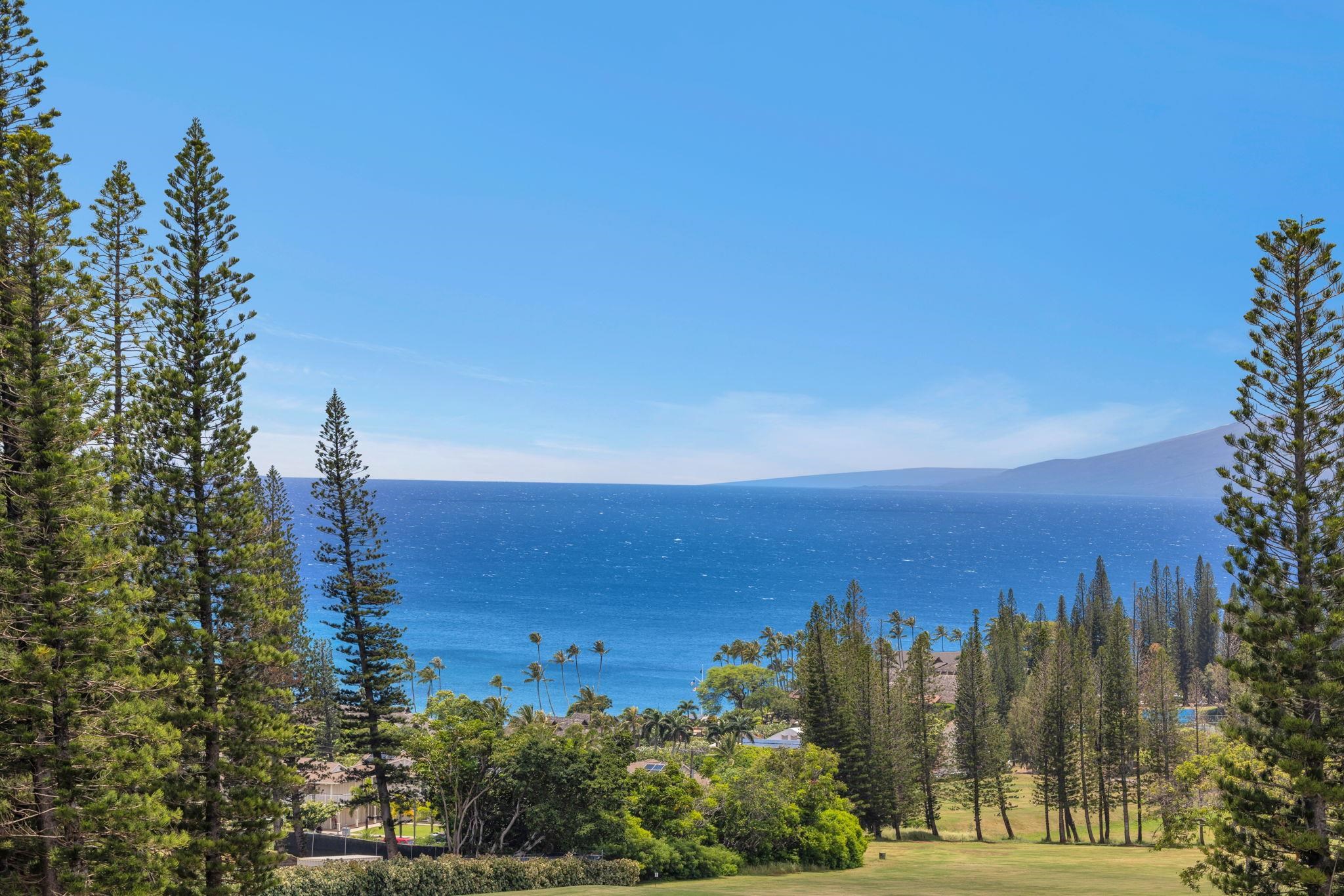 Kapalua Golf Villas condo # 27V-3, Lahaina, Hawaii - photo 10 of 50
