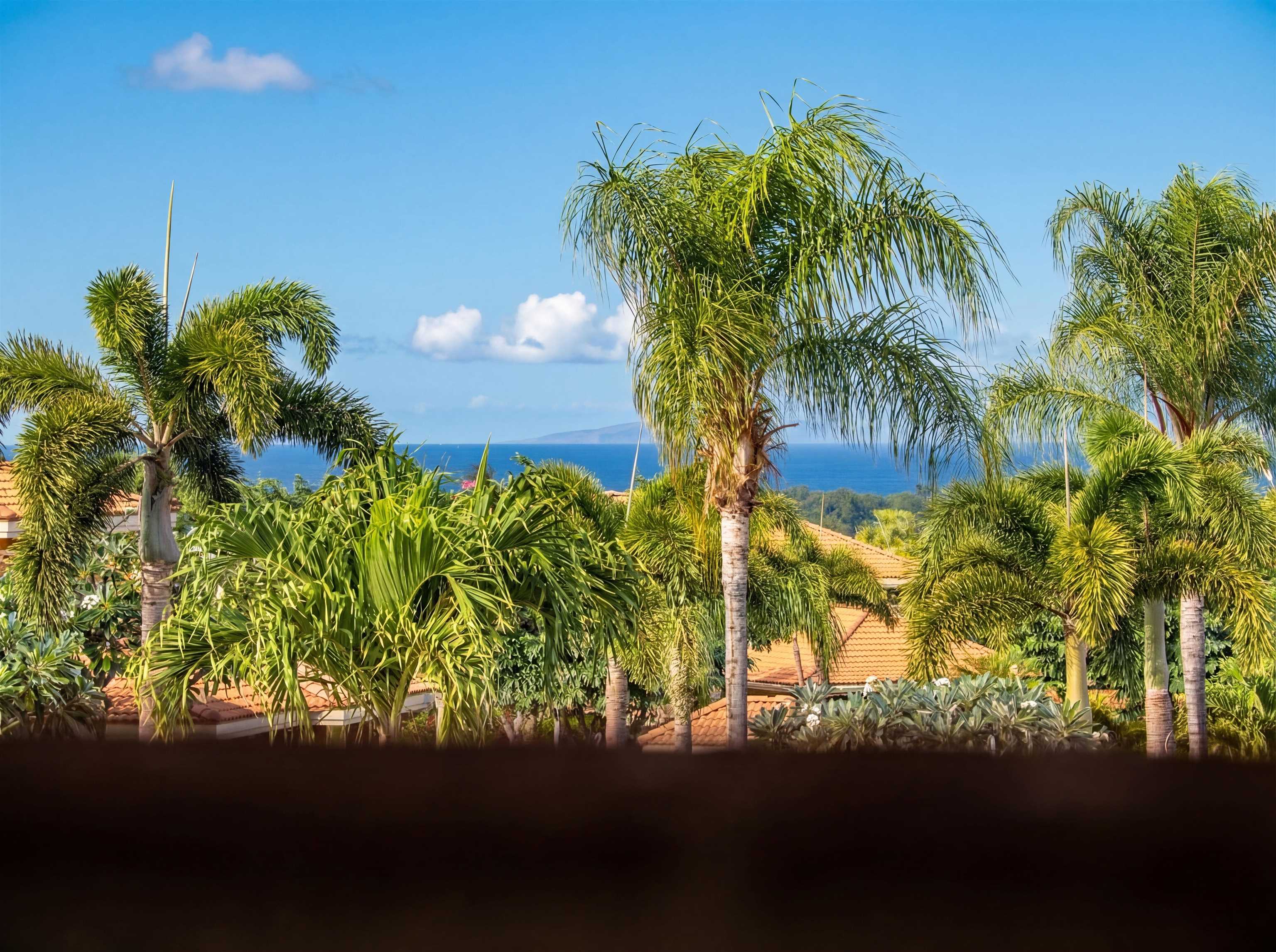 Hokulani Golf Villas condo # 47, Kihei, Hawaii - photo 33 of 46