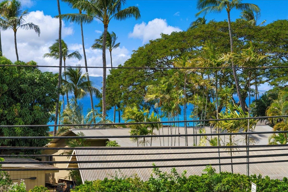 5000  Lower Honoapiilani Rd Napili, Napili/Kahana/Honokowai home - photo 34 of 49