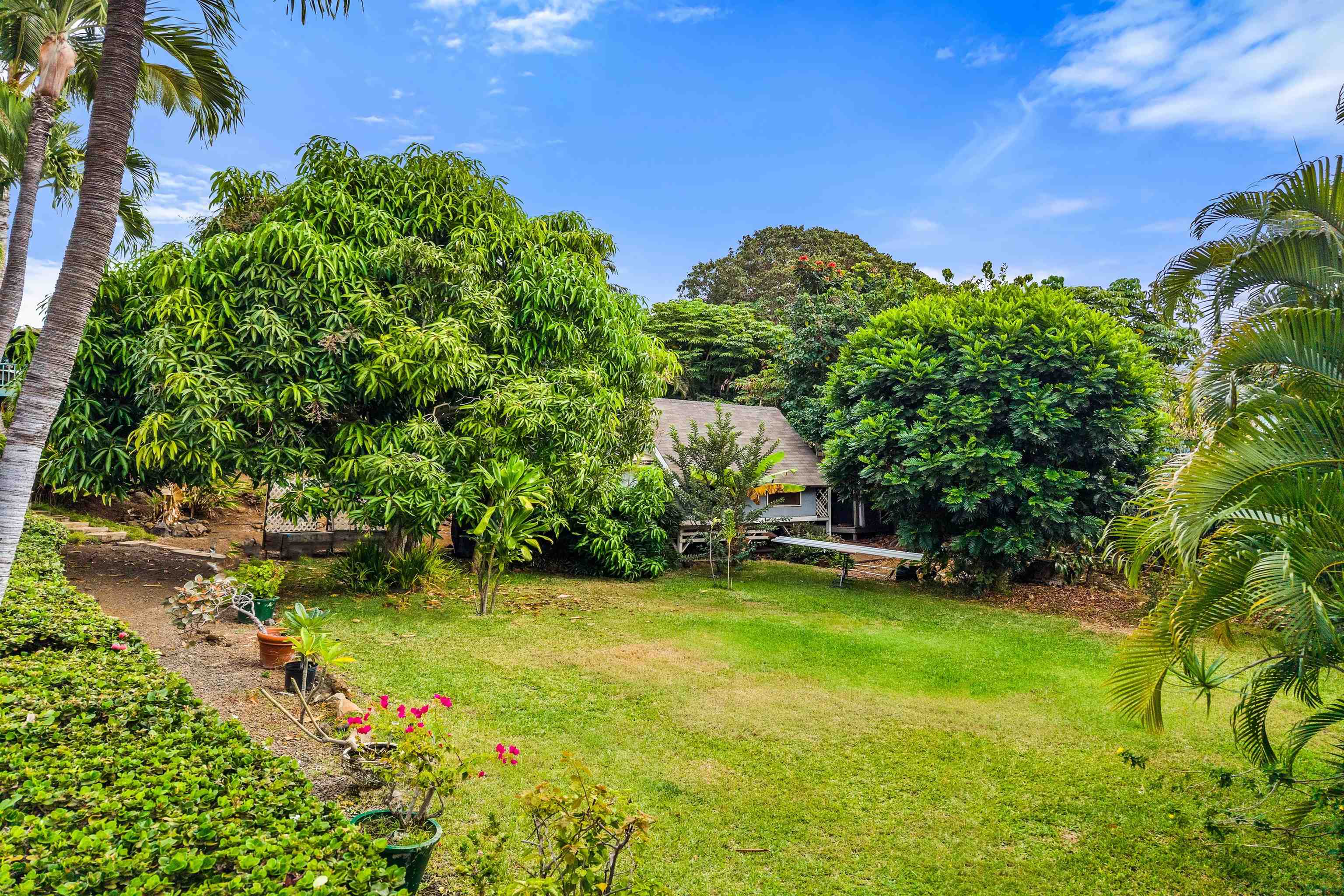 500A  Mikioi Pl Maui Meadows, Maui Meadows home - photo 38 of 44