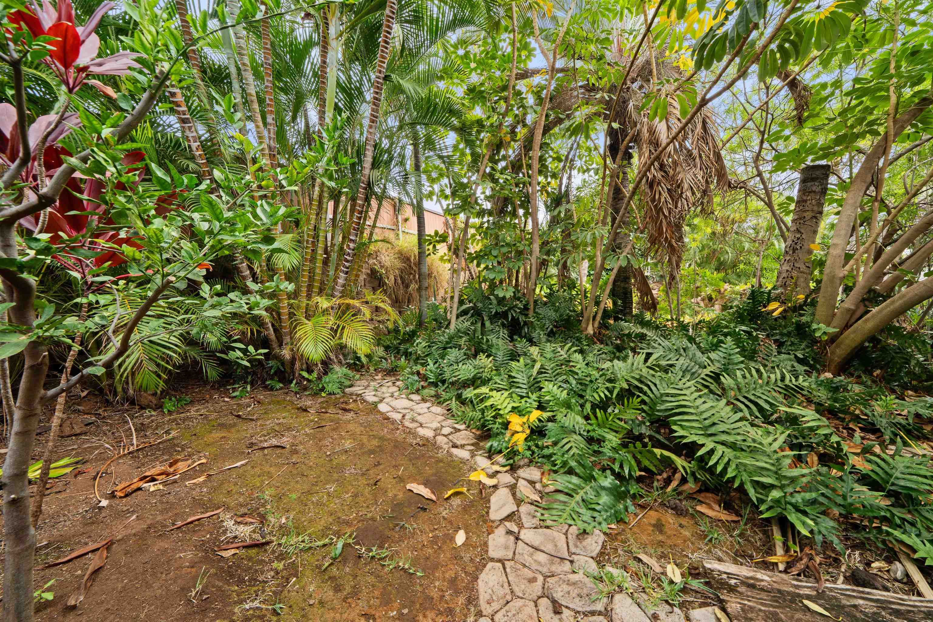 500A  Mikioi Pl Maui Meadows, Maui Meadows home - photo 41 of 44