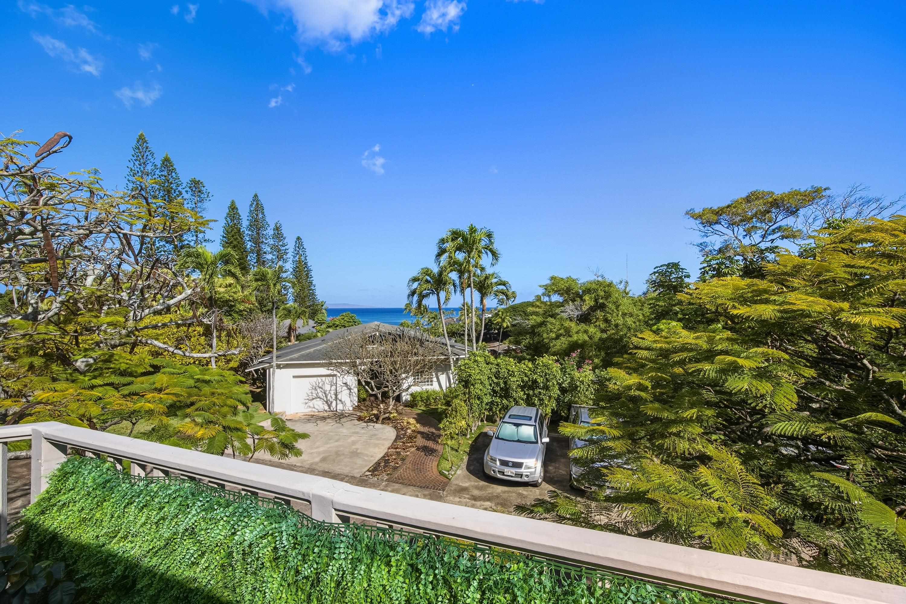 5045  Lower Honoapiilani Rd Napili, Napili/Kahana/Honokowai home - photo 36 of 37