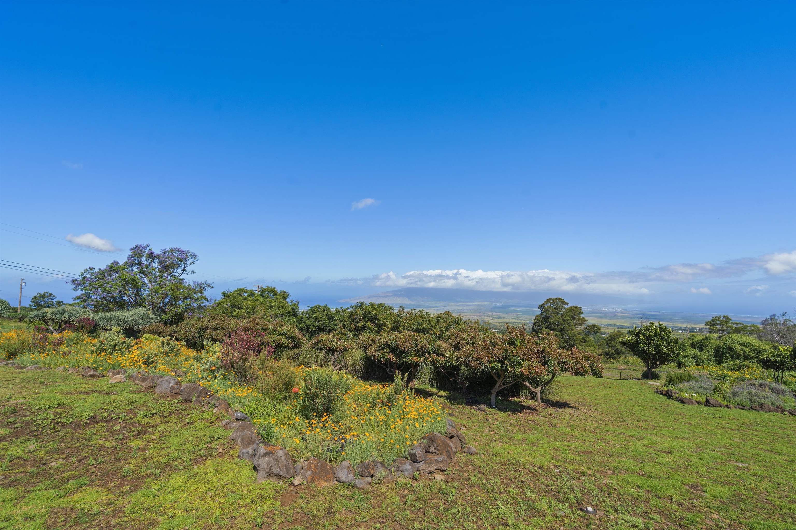505  Kamehameiki Rd , Kula/Ulupalakua/Kanaio home - photo 43 of 50