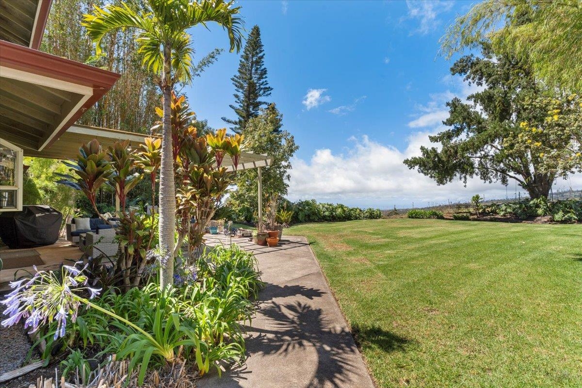 506  Kolohala Dr Near Copp Road, Kula/Ulupalakua/Kanaio home - photo 3 of 50