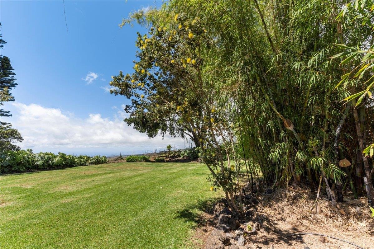 506  Kolohala Dr Near Copp Road, Kula/Ulupalakua/Kanaio home - photo 46 of 50