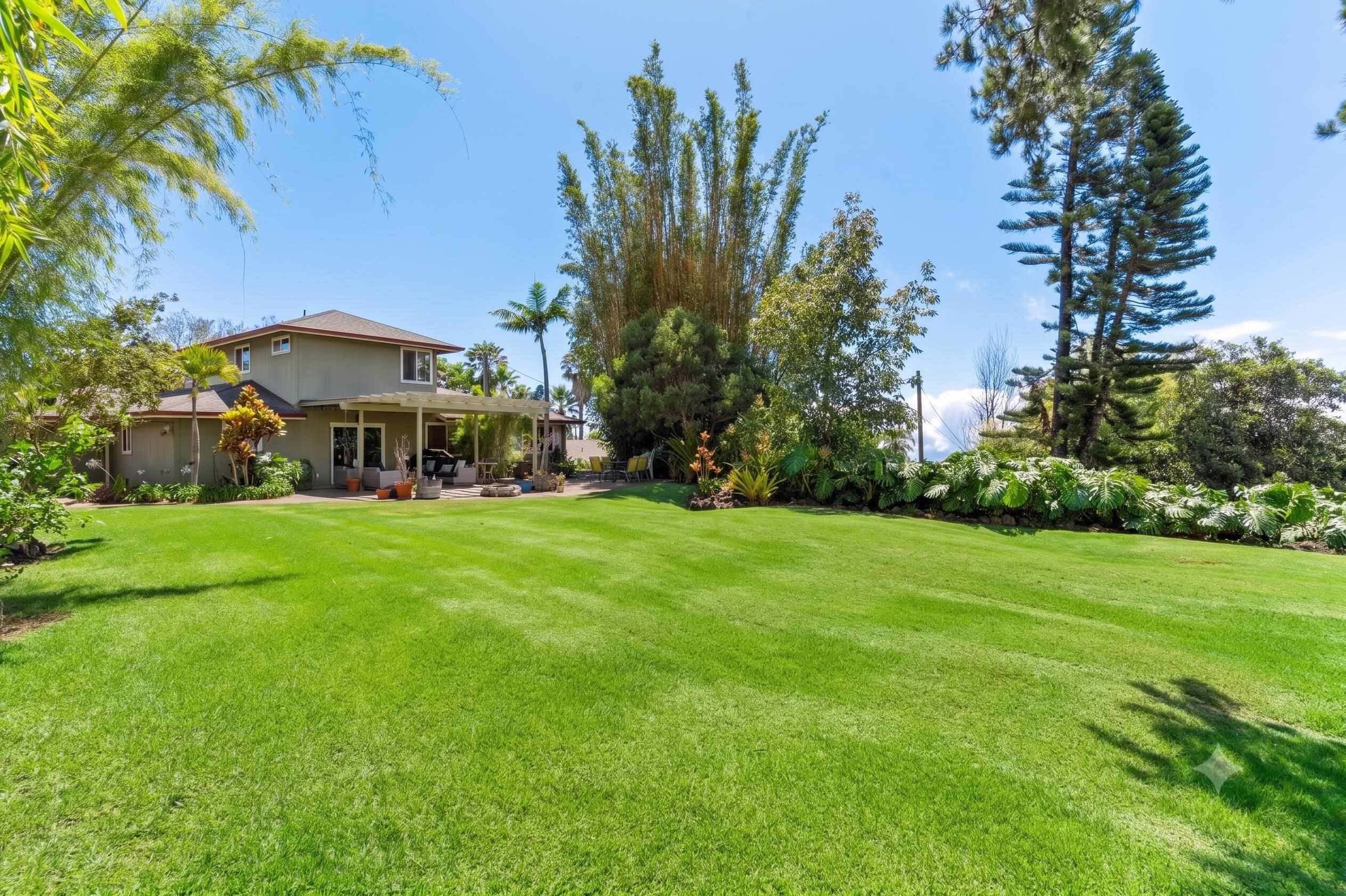 506  Kolohala Dr , Kula/Ulupalakua/Kanaio home - photo 2 of 50