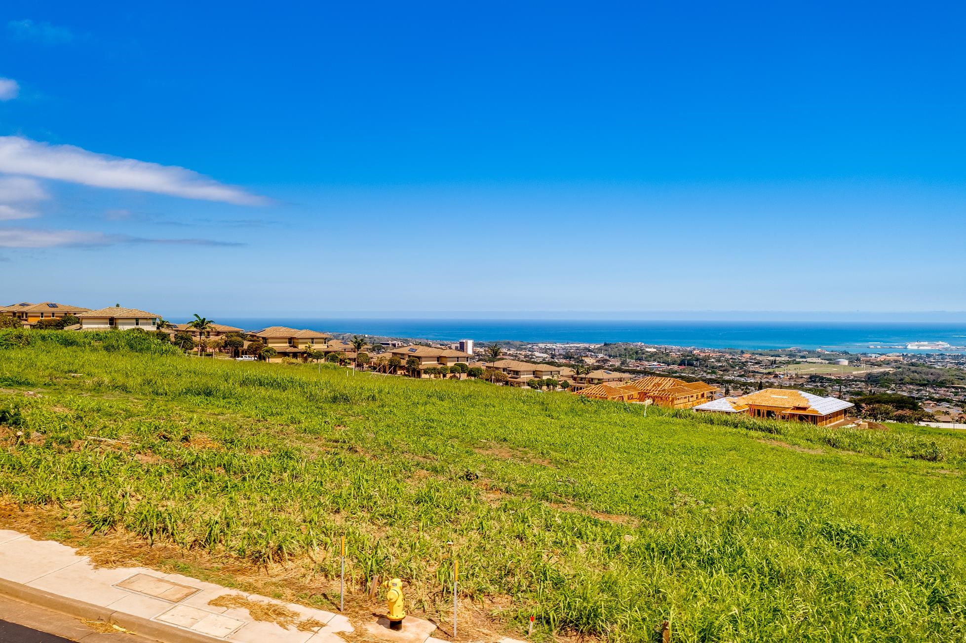 508 Kauna Lipo Dr LOT 39 Wailuku, Hi vacant land for sale - photo 8 of 20