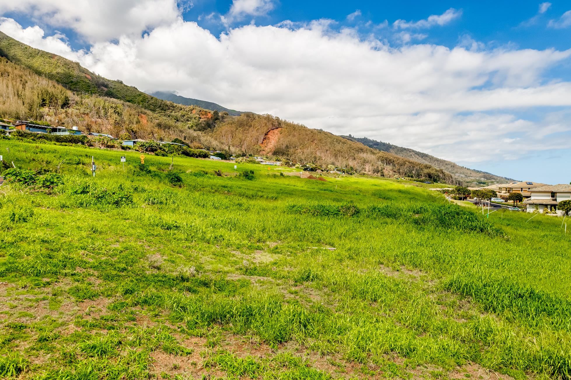 508 Kauna Lipo Dr LOT 39 Wailuku, Hi vacant land for sale - photo 10 of 20