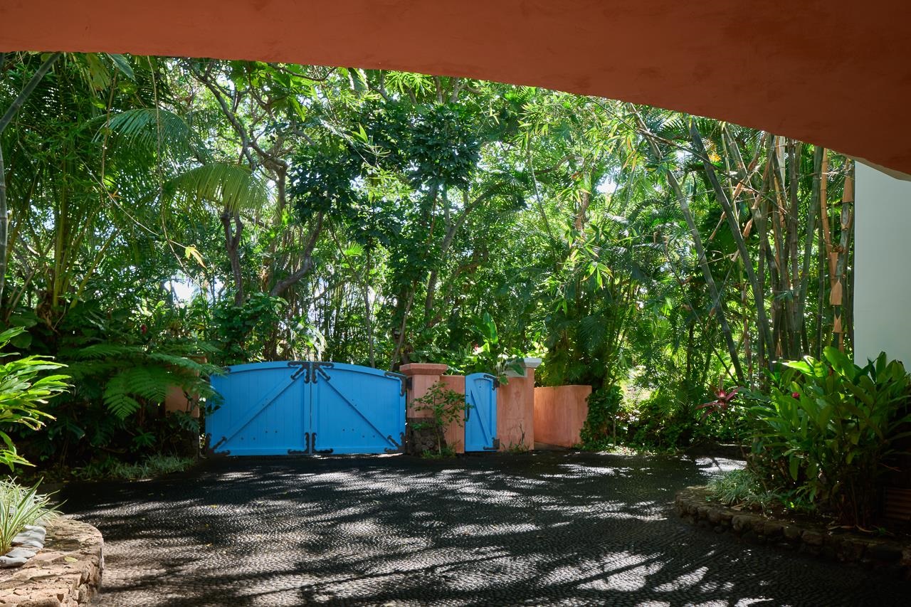 51  Hui Road E Kahana, Napili/Kahana/Honokowai home - photo 41 of 49