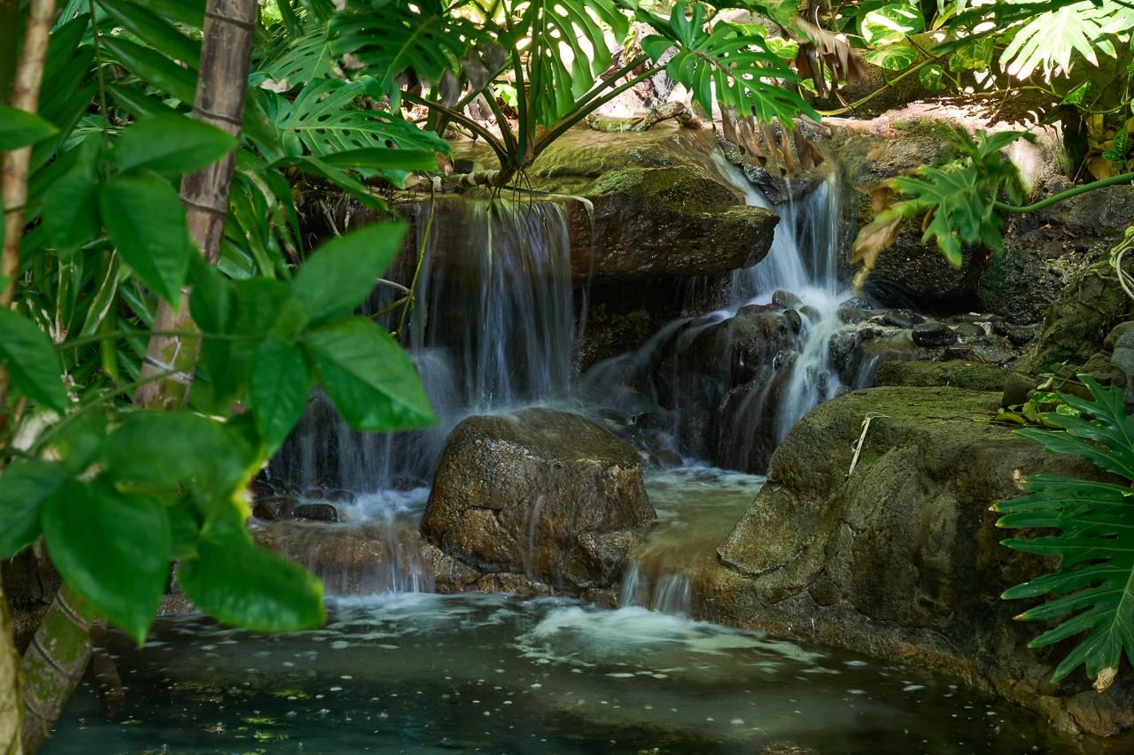 51  Hui Road E Kahana, Napili/Kahana/Honokowai home - photo 7 of 49