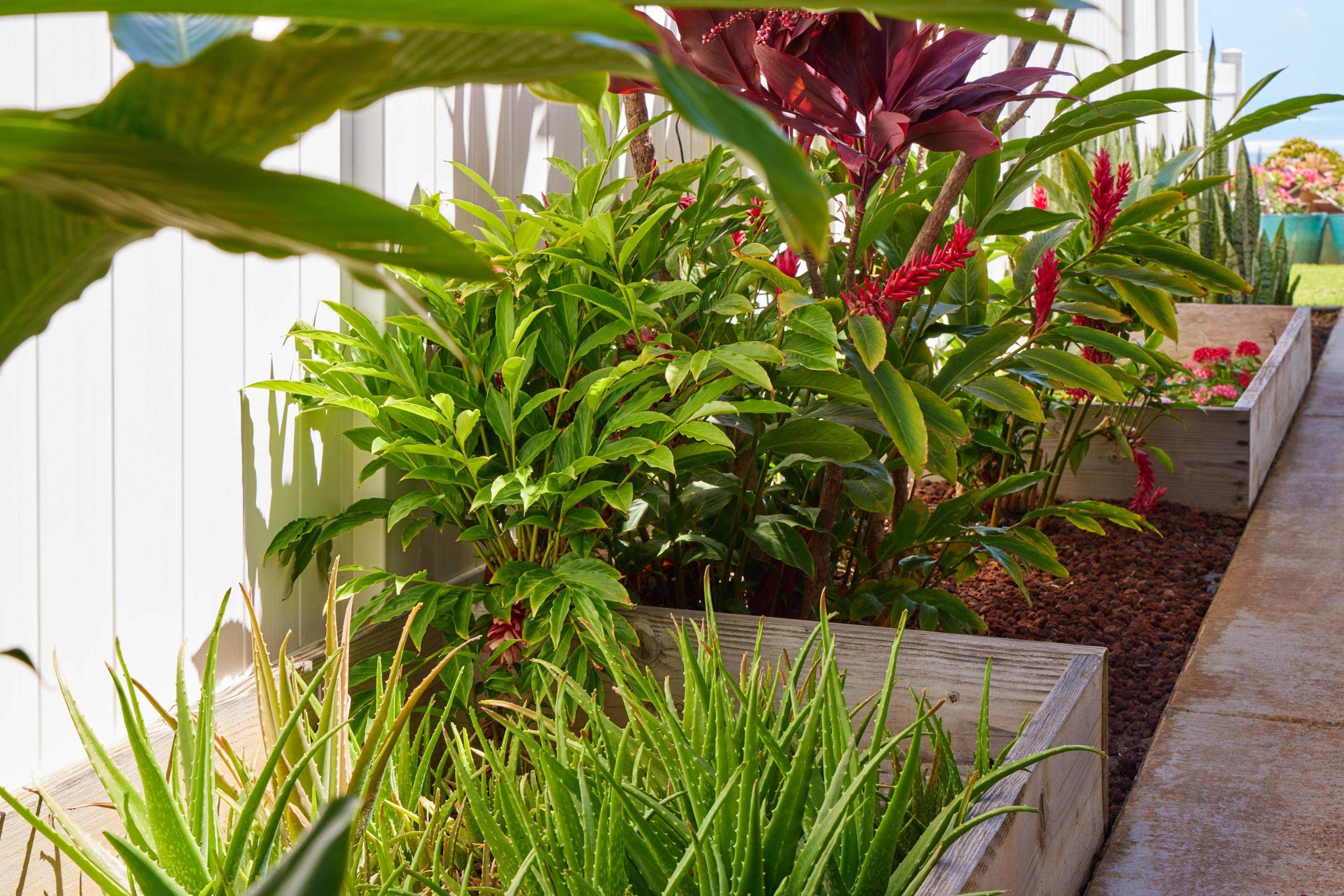 51  Ka Ikena Loop Kehalani, Wailuku home - photo 17 of 47