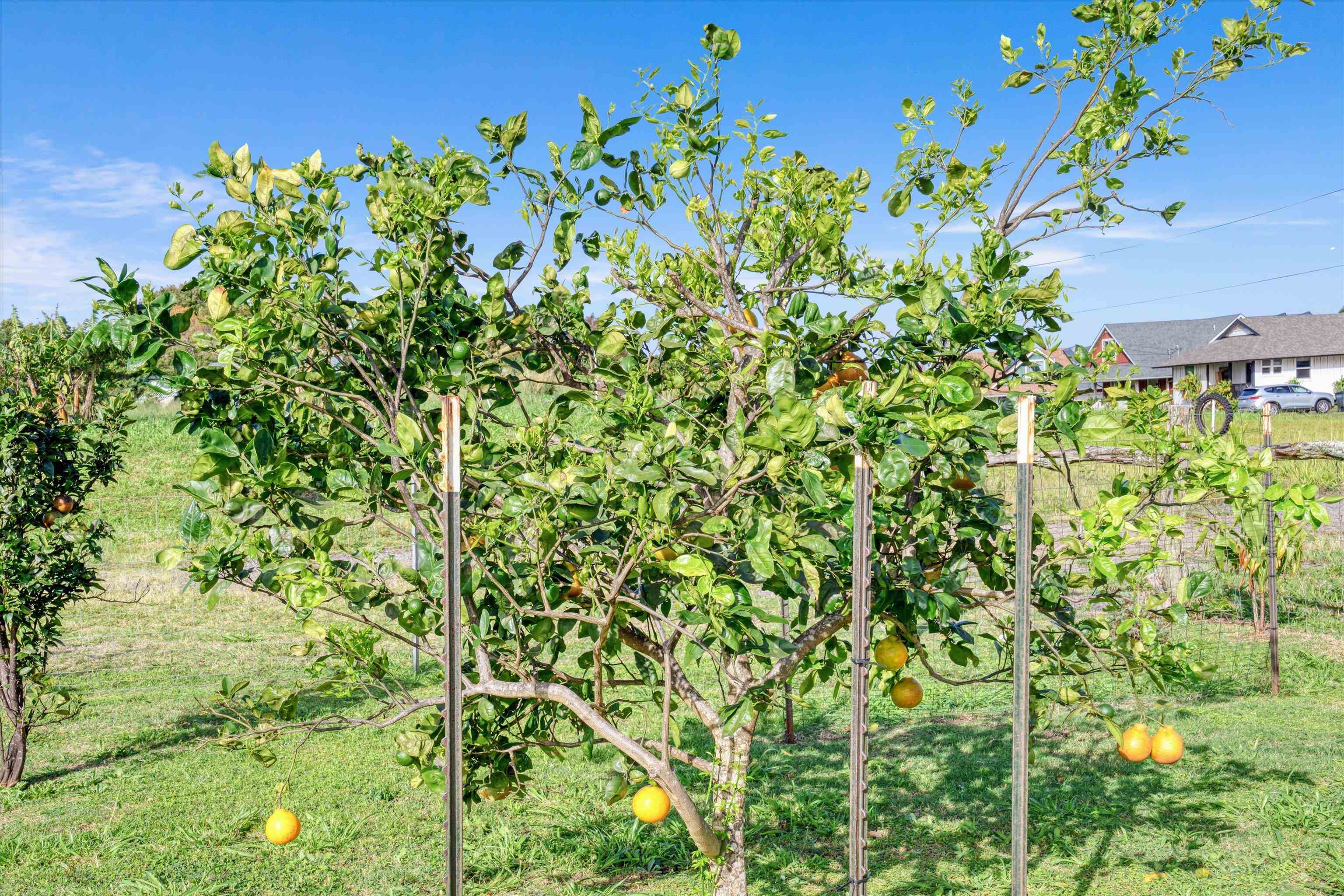 51  Kanoenoe Loop , Haiku home - photo 45 of 50