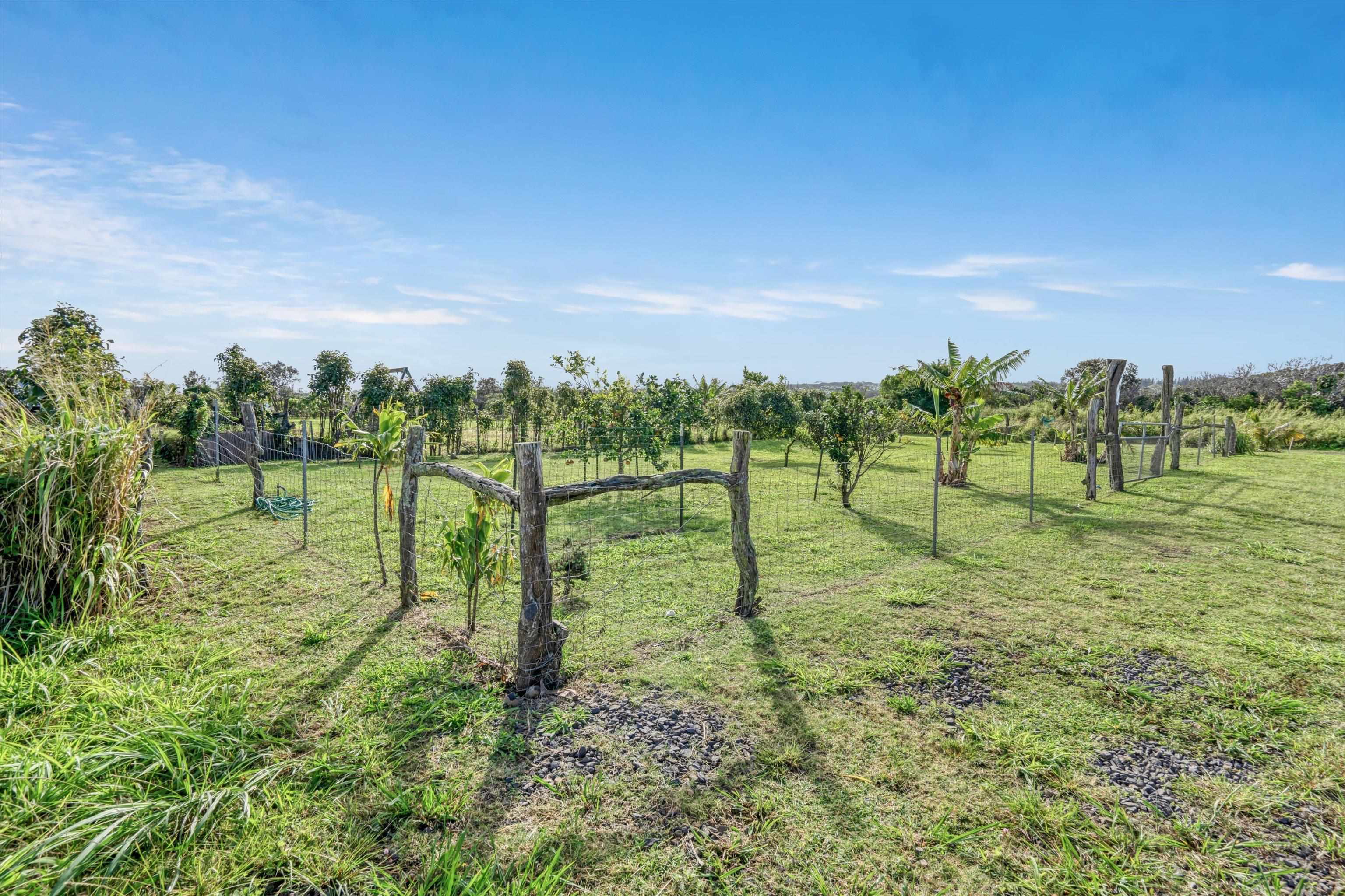 51  Kanoenoe Loop , Haiku home - photo 44 of 50