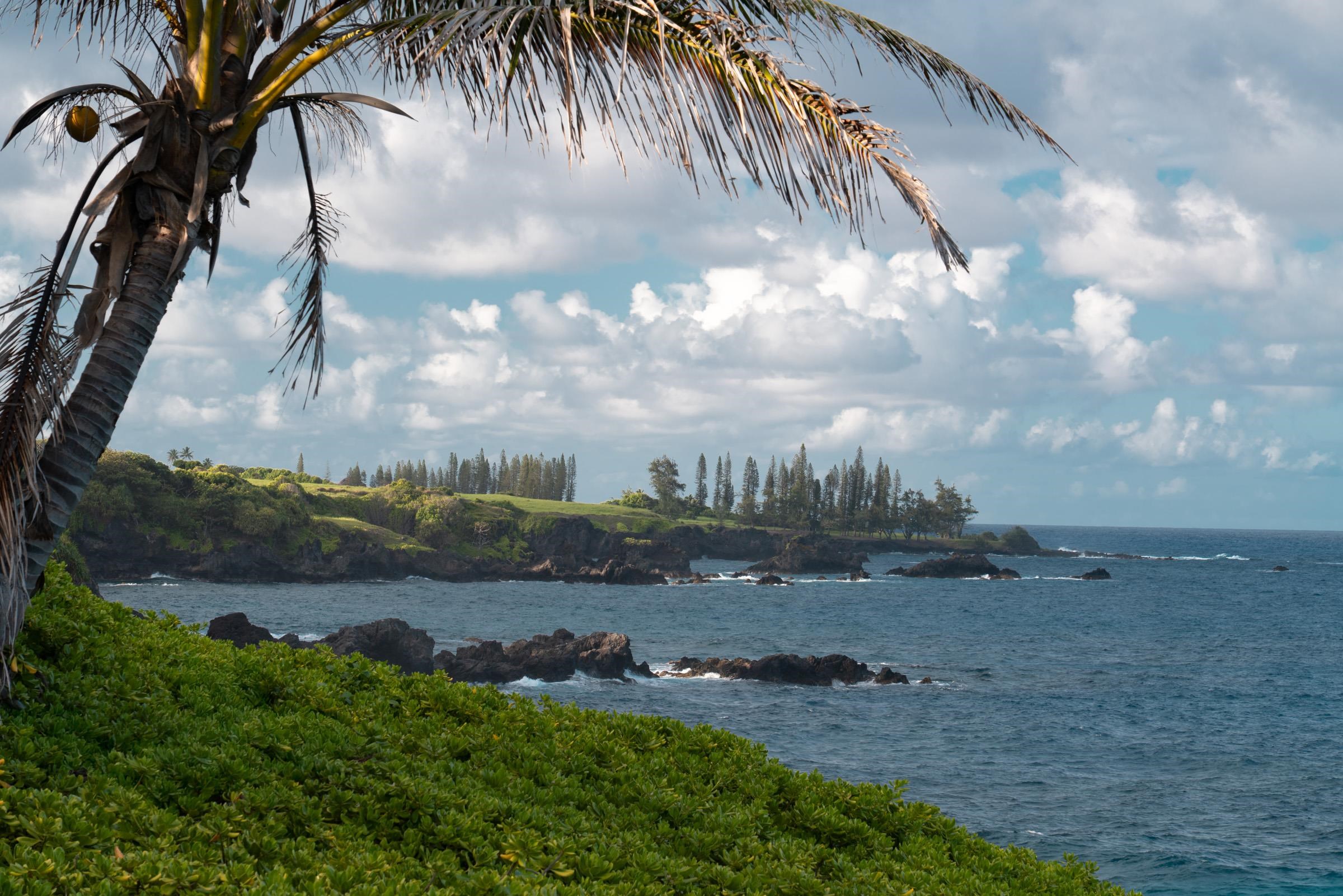 51  Kapohue Rd , Hana home - photo 19 of 50