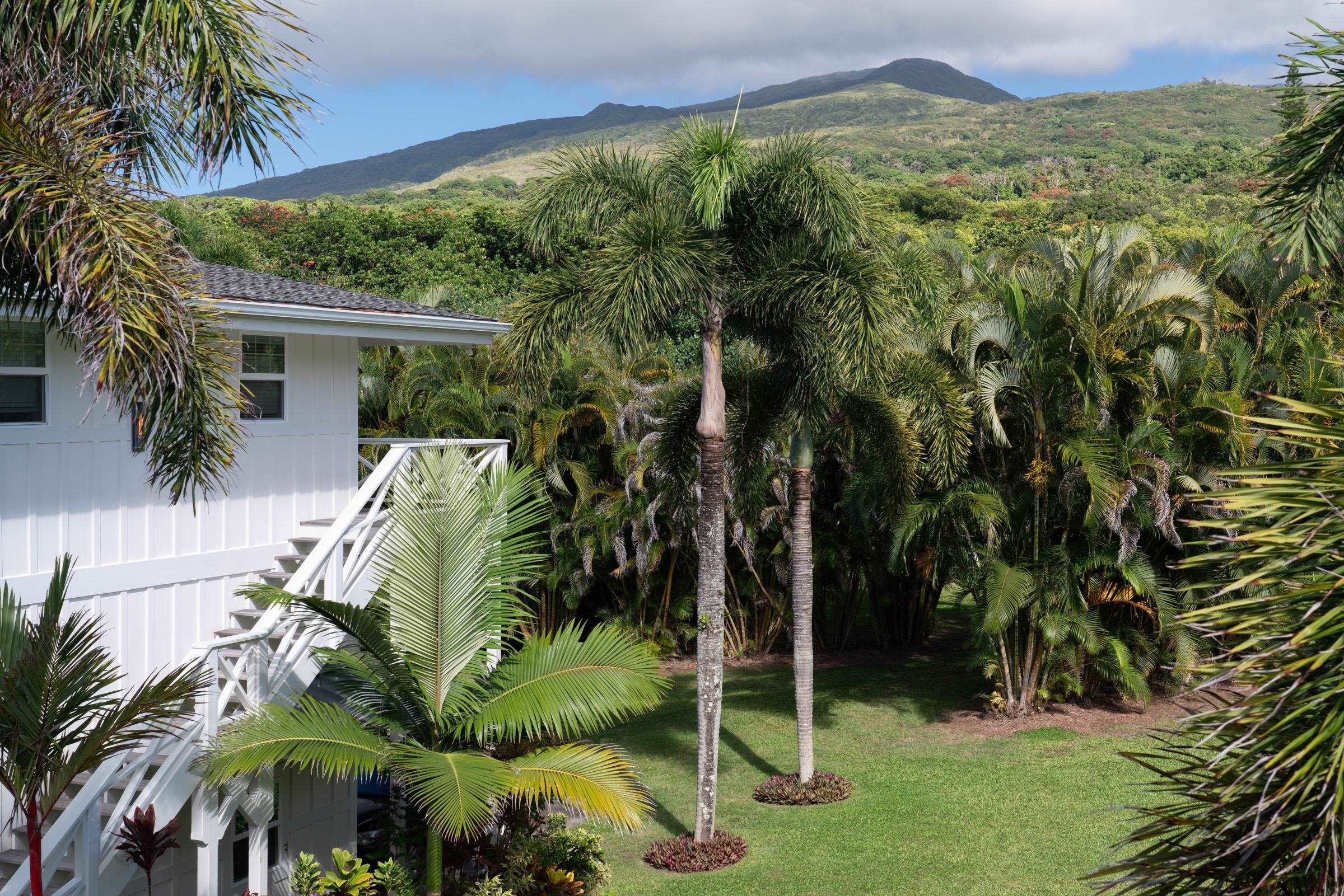 51  Kapohue Rd , Hana home - photo 43 of 50