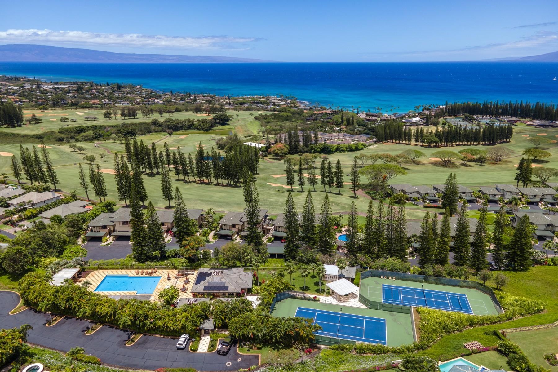 514  Pacific Dr Kapalua Resort, Kapalua home - photo 50 of 50