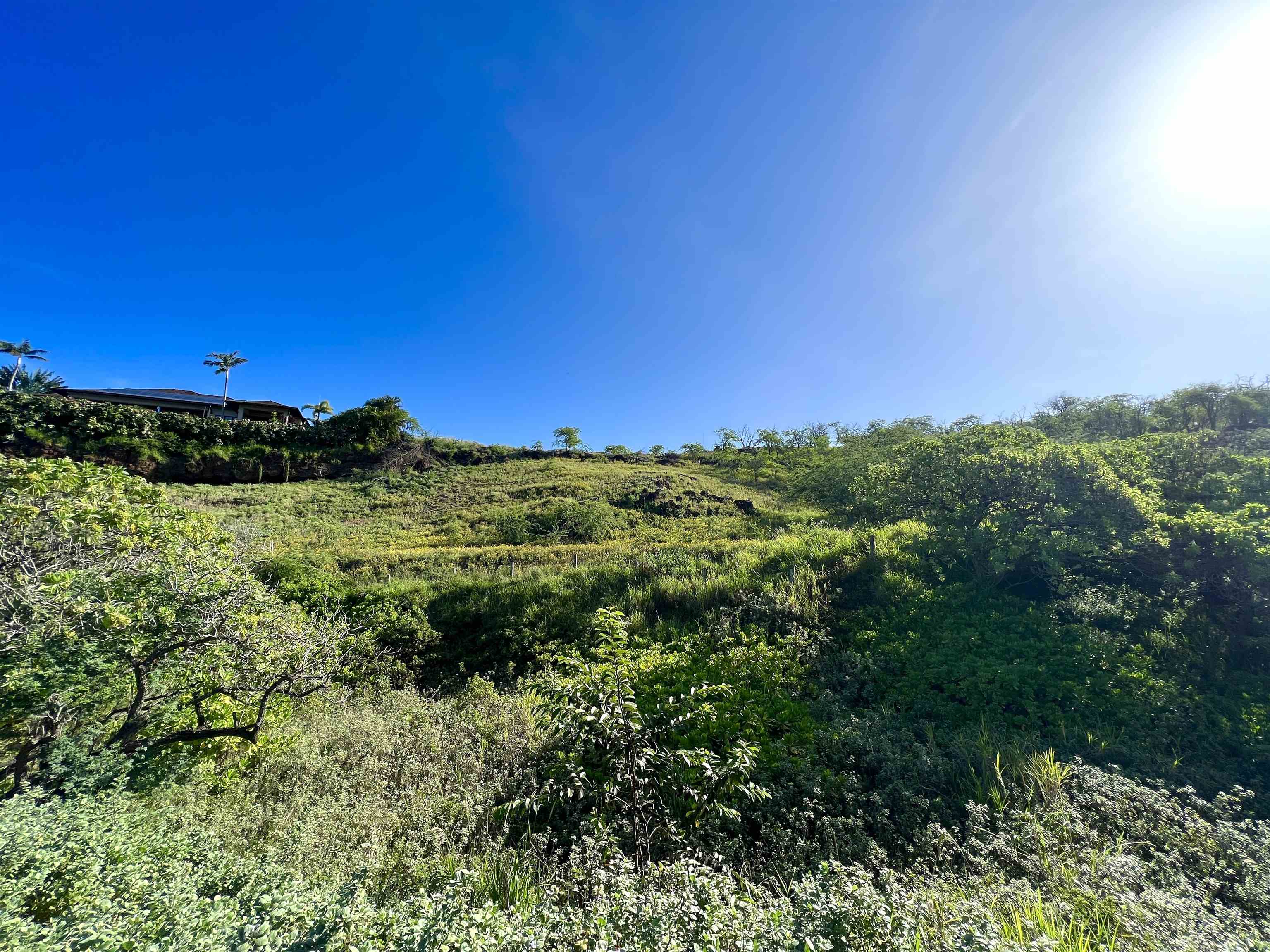 5159 Makena Rd  Kihei, Hi vacant land for sale - photo 12 of 36