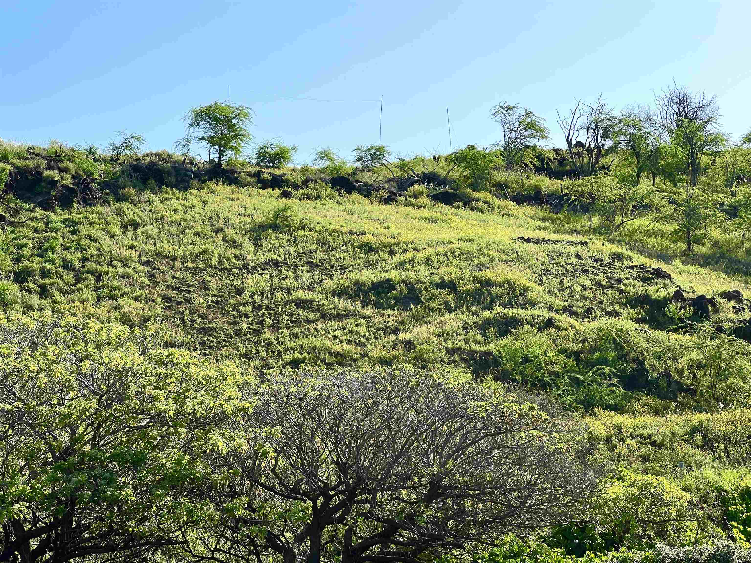 5159 Makena Rd  Kihei, Hi vacant land for sale - photo 34 of 36