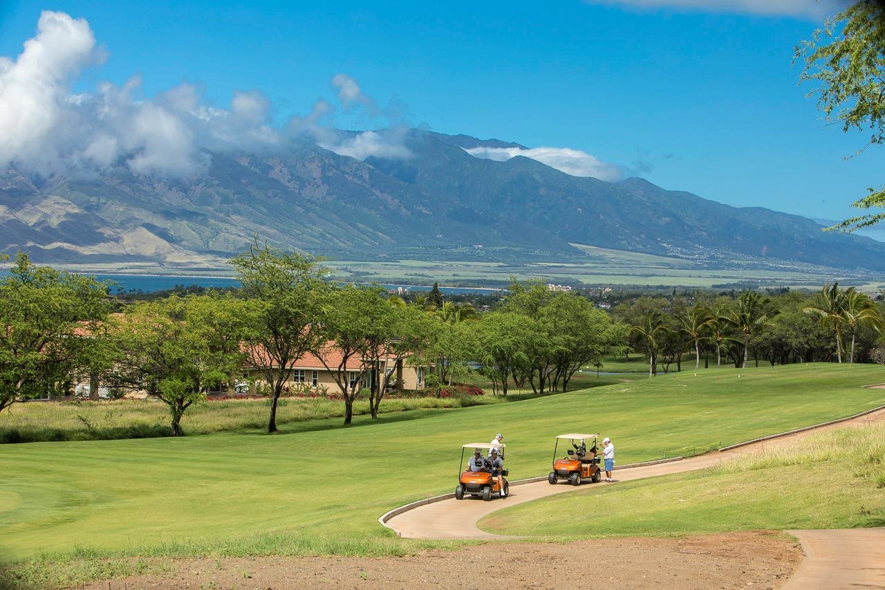 Hokulani Golf Villas condo # 34, Kihei, Hawaii - photo 47 of 47