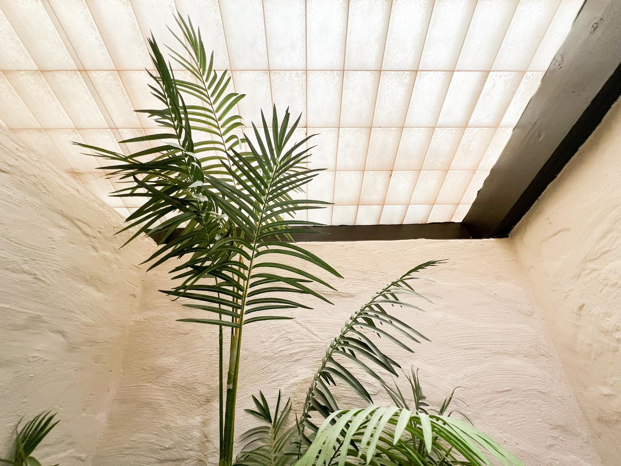 5163  Lower Honoapiilani Rd , Napili/Kahana/Honokowai home - photo 25 of 50