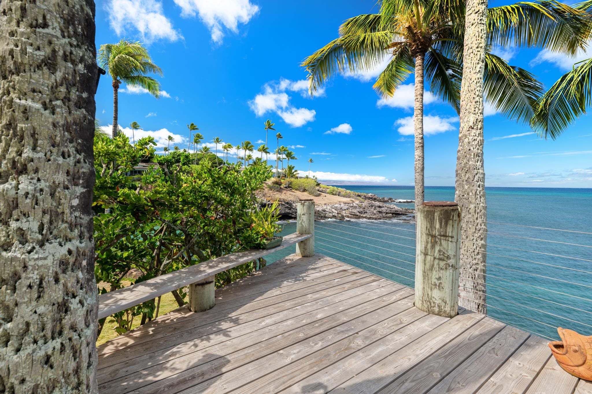 5163  Lower Honoapiilani Rd , Napili/Kahana/Honokowai home - photo 29 of 50