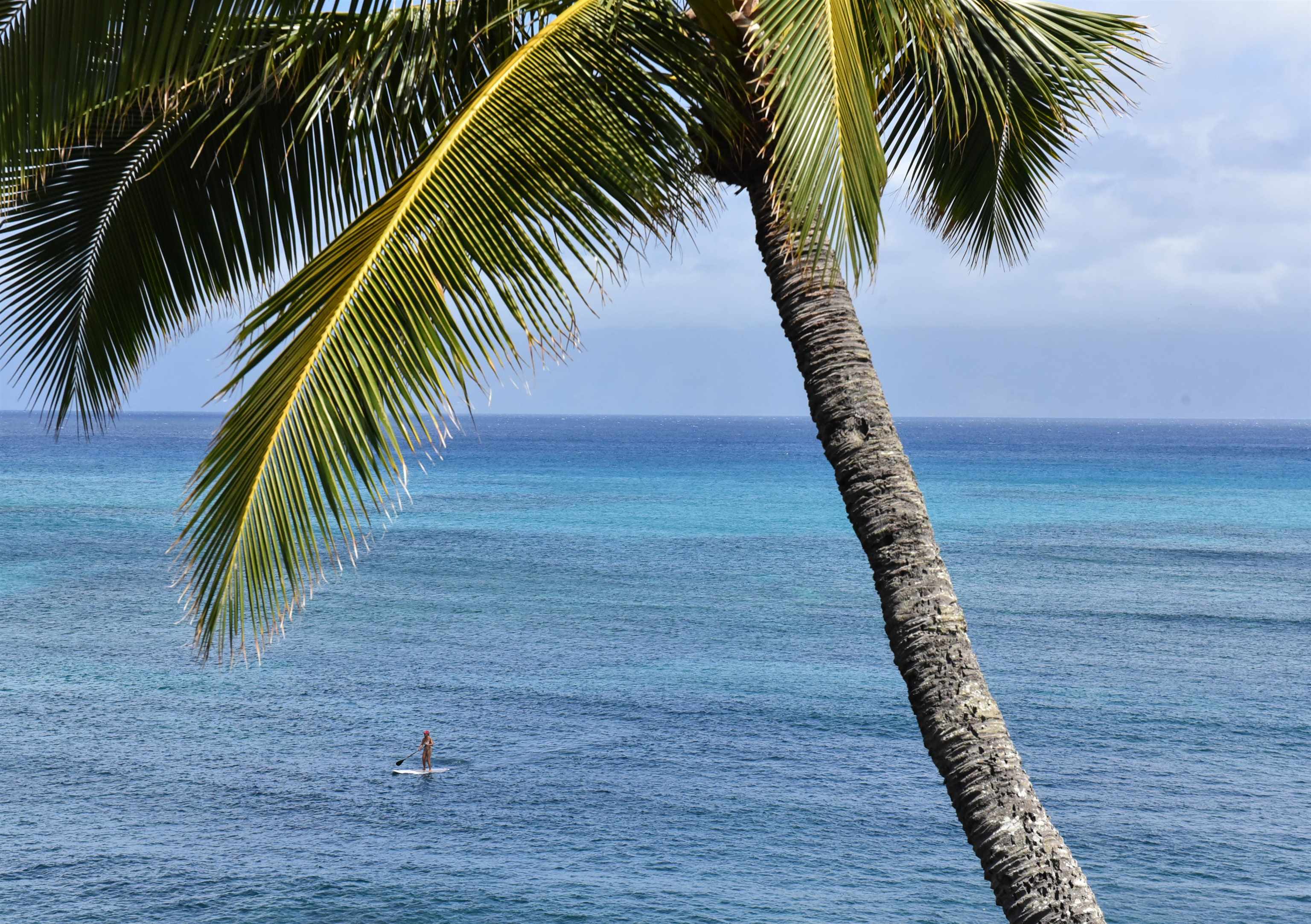 5163  Lower Honoapiilani Rd , Napili/Kahana/Honokowai home - photo 40 of 50