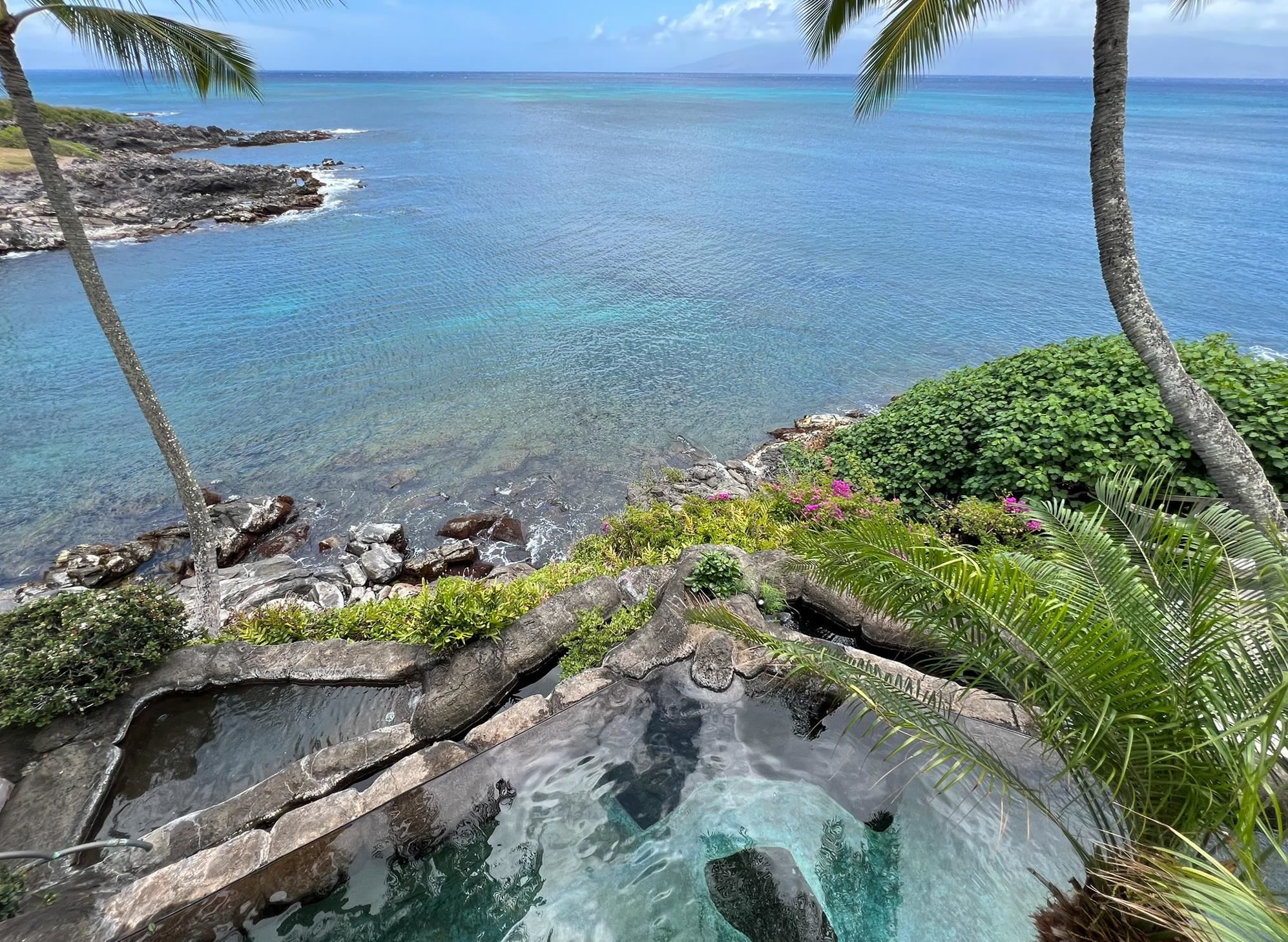 5163  Lower Honoapiilani Rd , Napili/Kahana/Honokowai home - photo 8 of 50