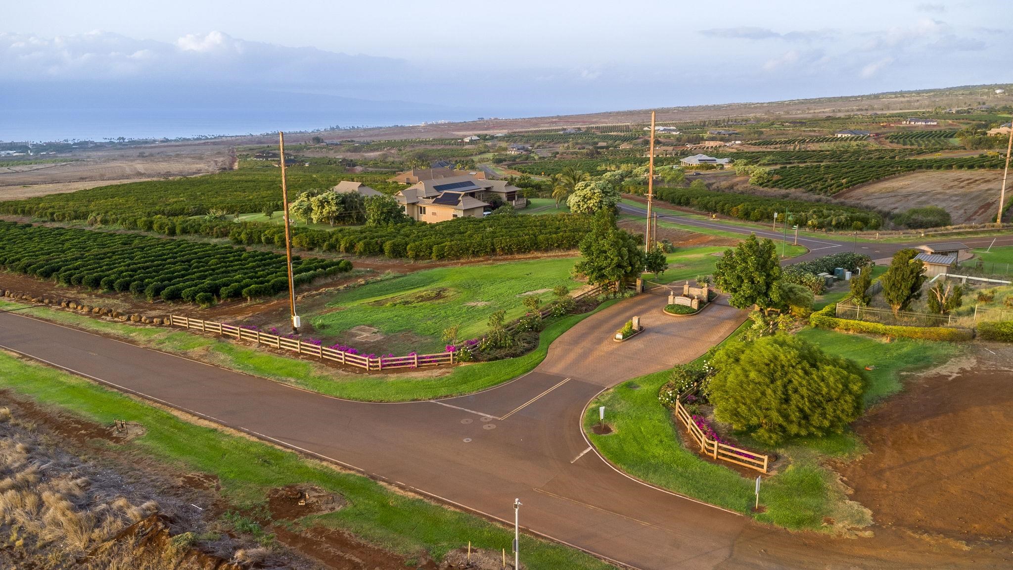 517 Ola Kope St  Lahaina, Hi vacant land for sale - photo 14 of 23