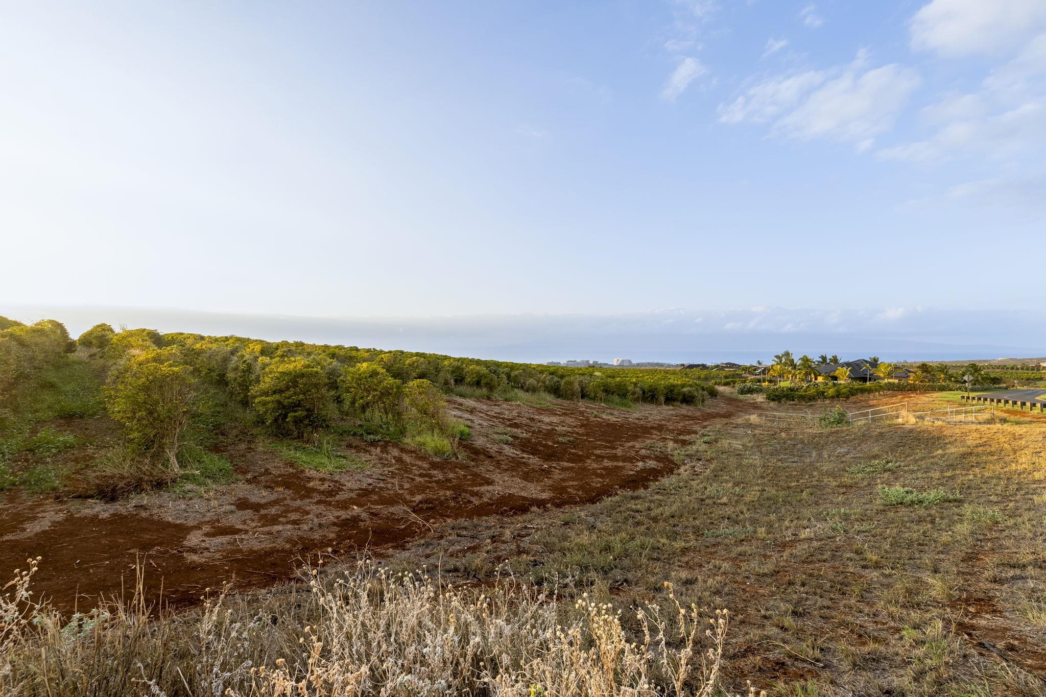 517 Ola Kope St  Lahaina, Hi vacant land for sale - photo 15 of 23